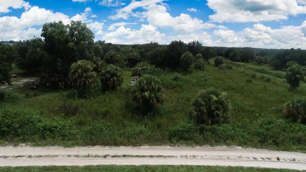Lot-1880 Louise Street