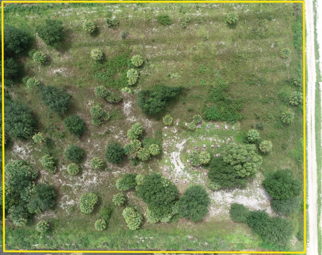 Lot-1880 Louise Street