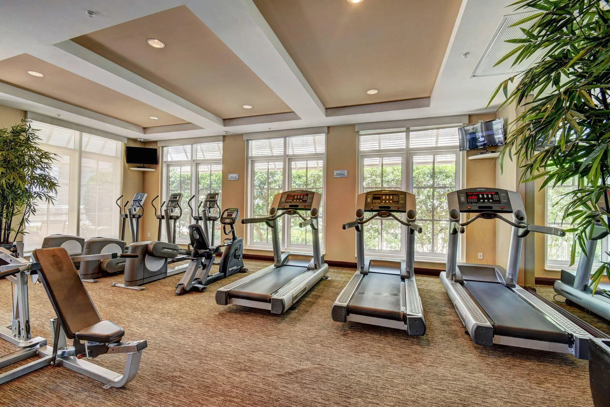 350 N Federal Highway, #103