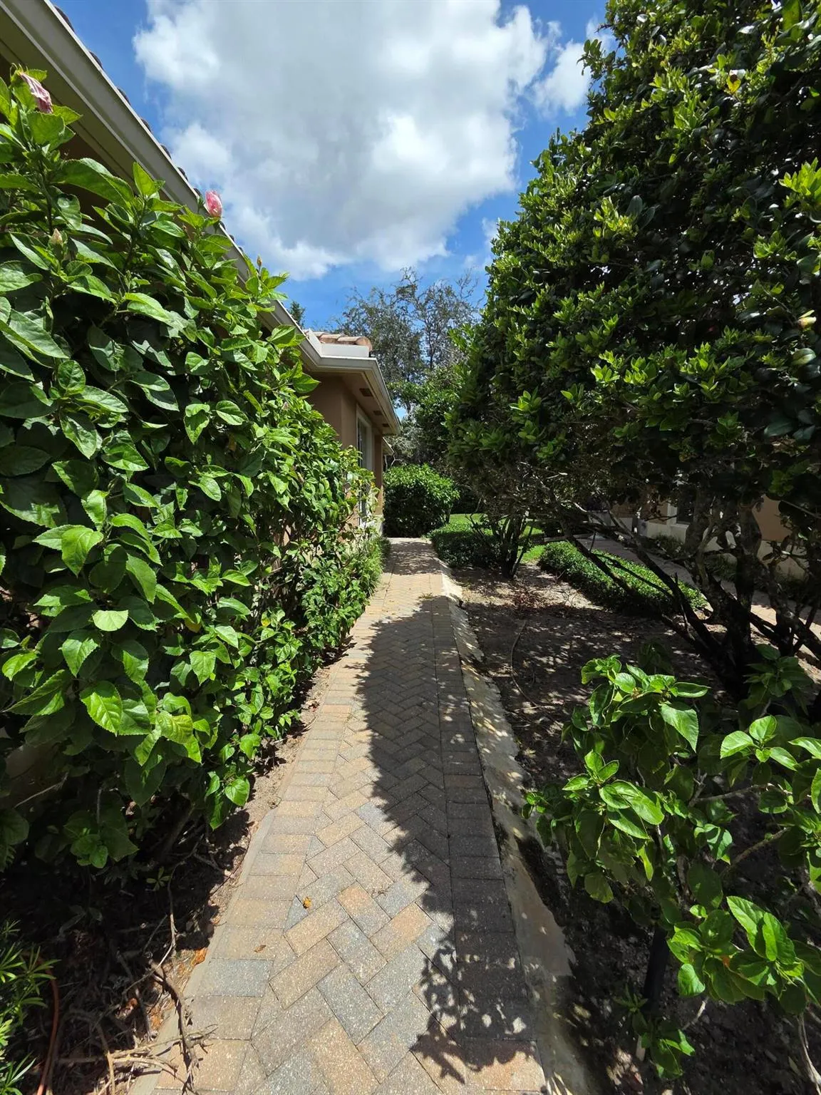 4365 Colony View Drive