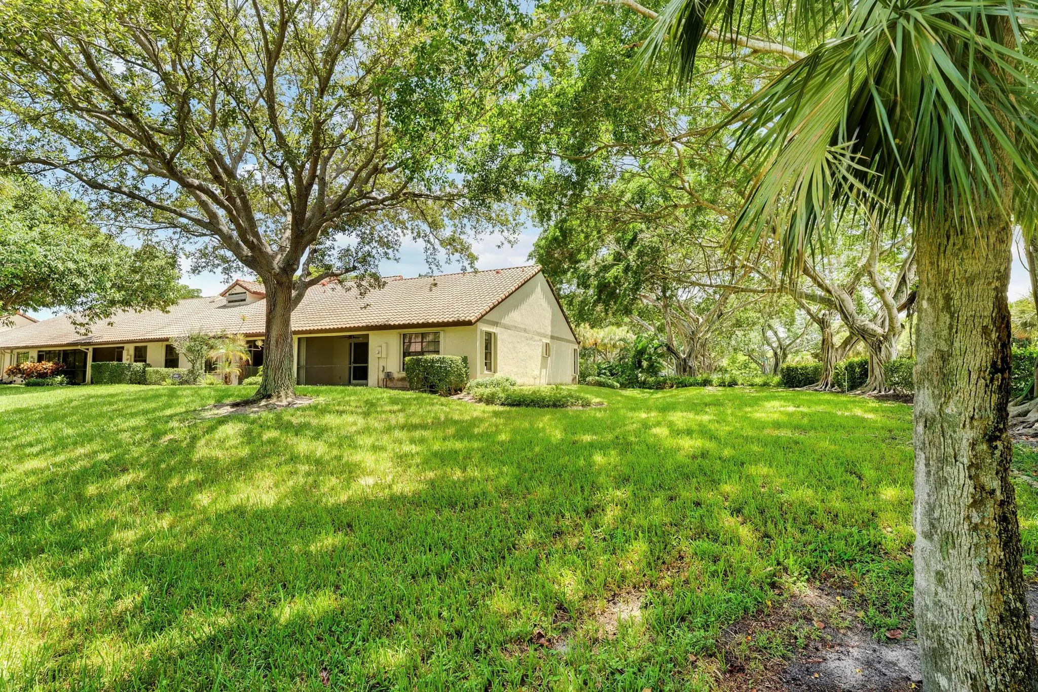 479 Ashwood Place