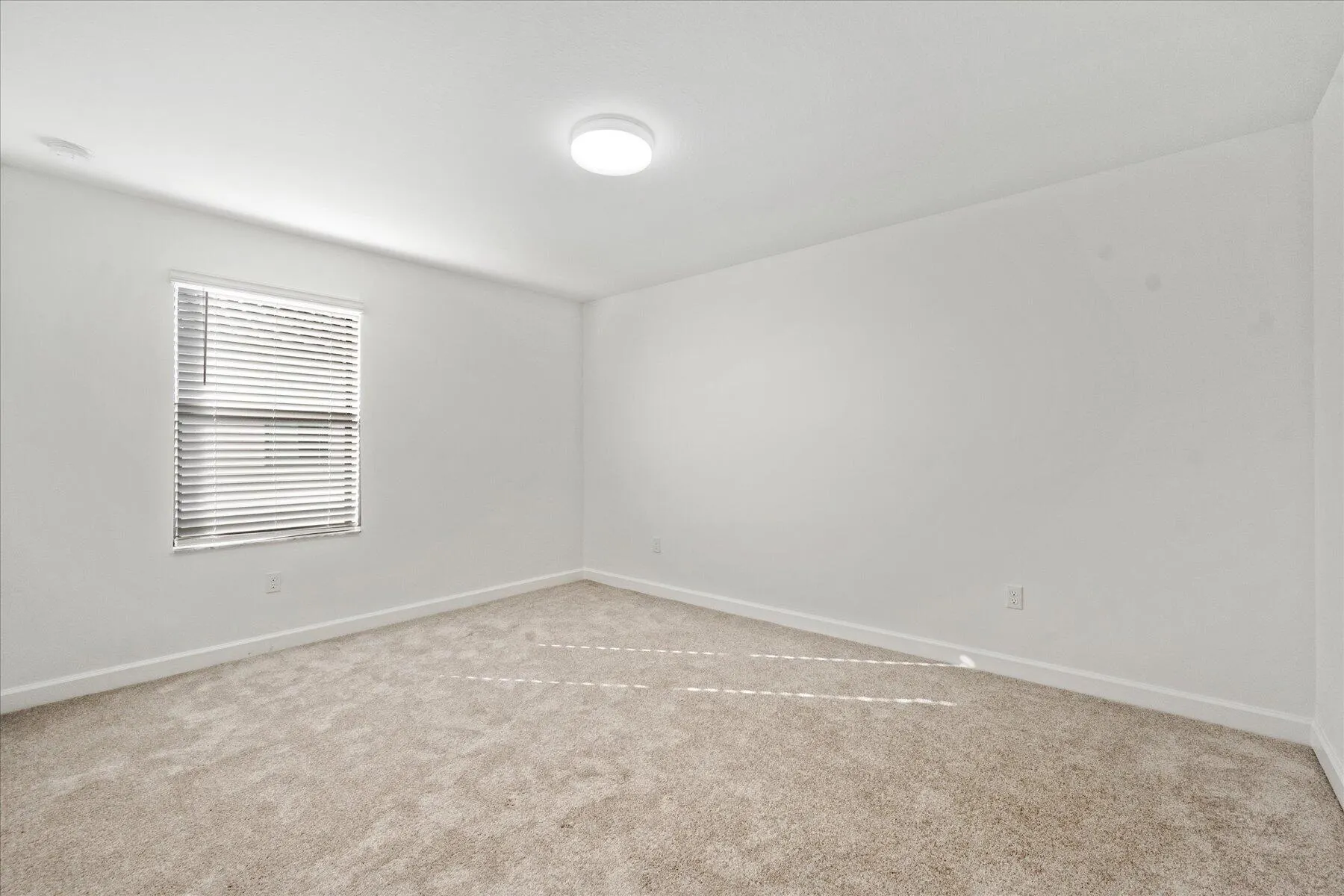 1321 Whitcombe Drive