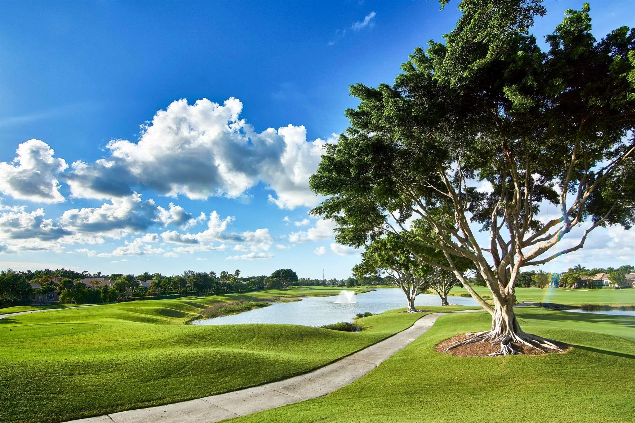 8464 Legend Club Drive