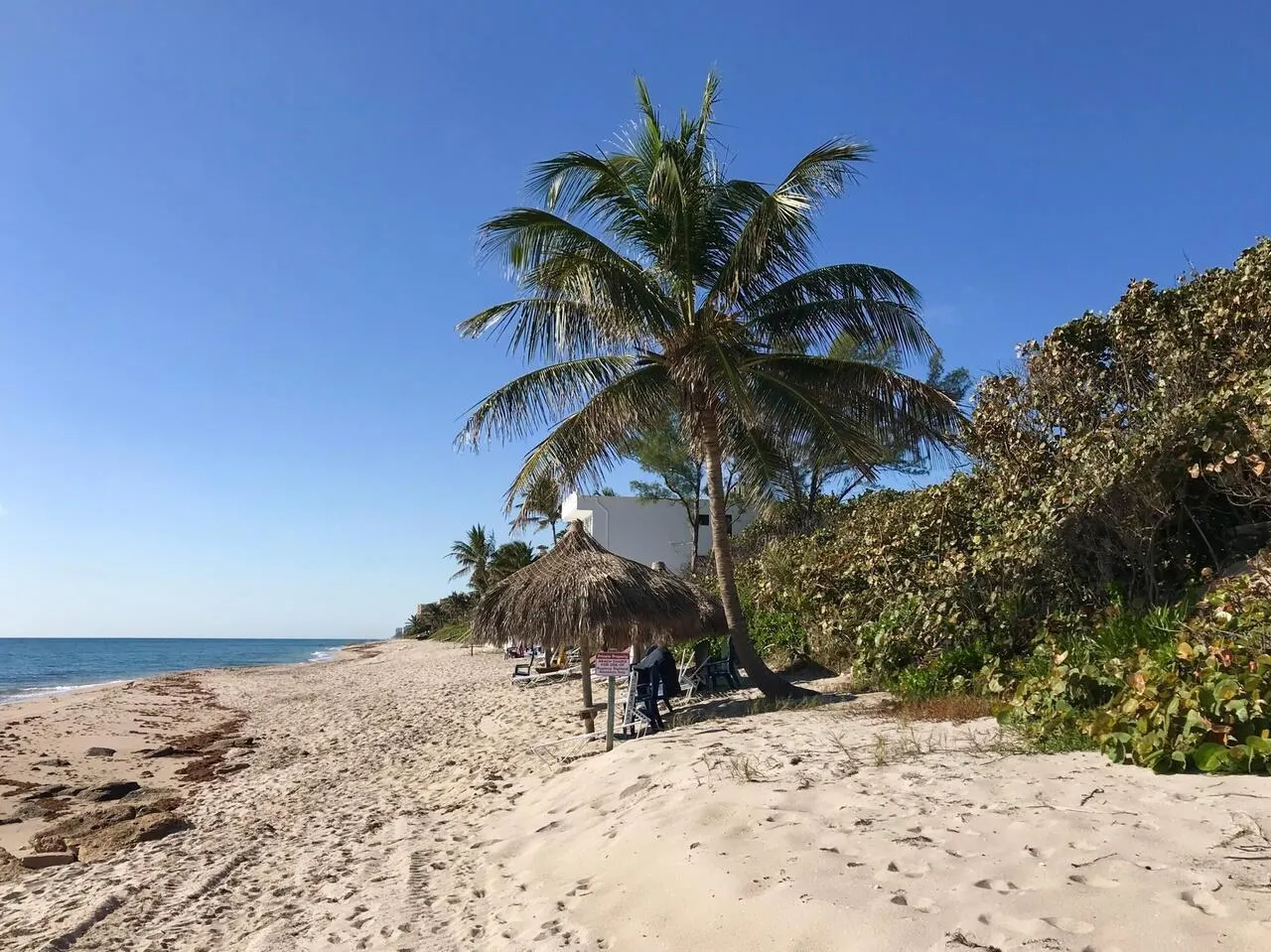 3912 S Ocean Boulevard, #709