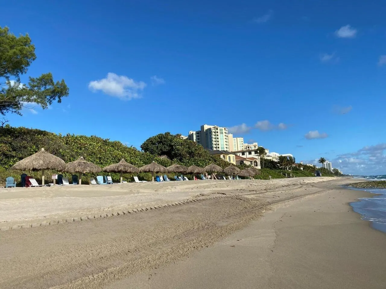3912 S Ocean Boulevard, #709