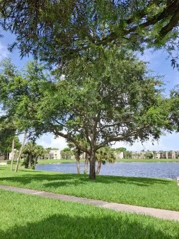 5220 Las Verdes Circle, #304