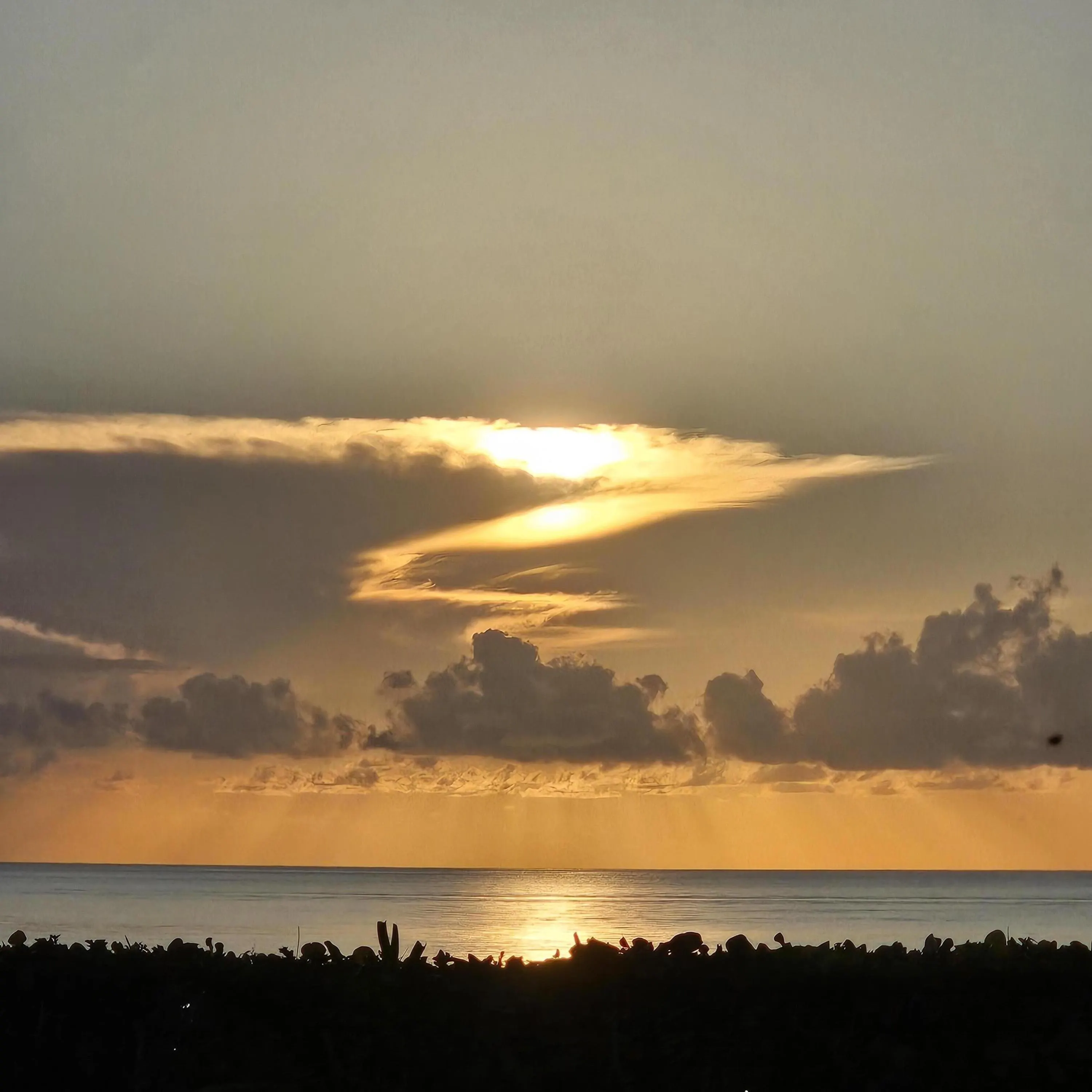 2003 N Ocean Boulevard, #1504