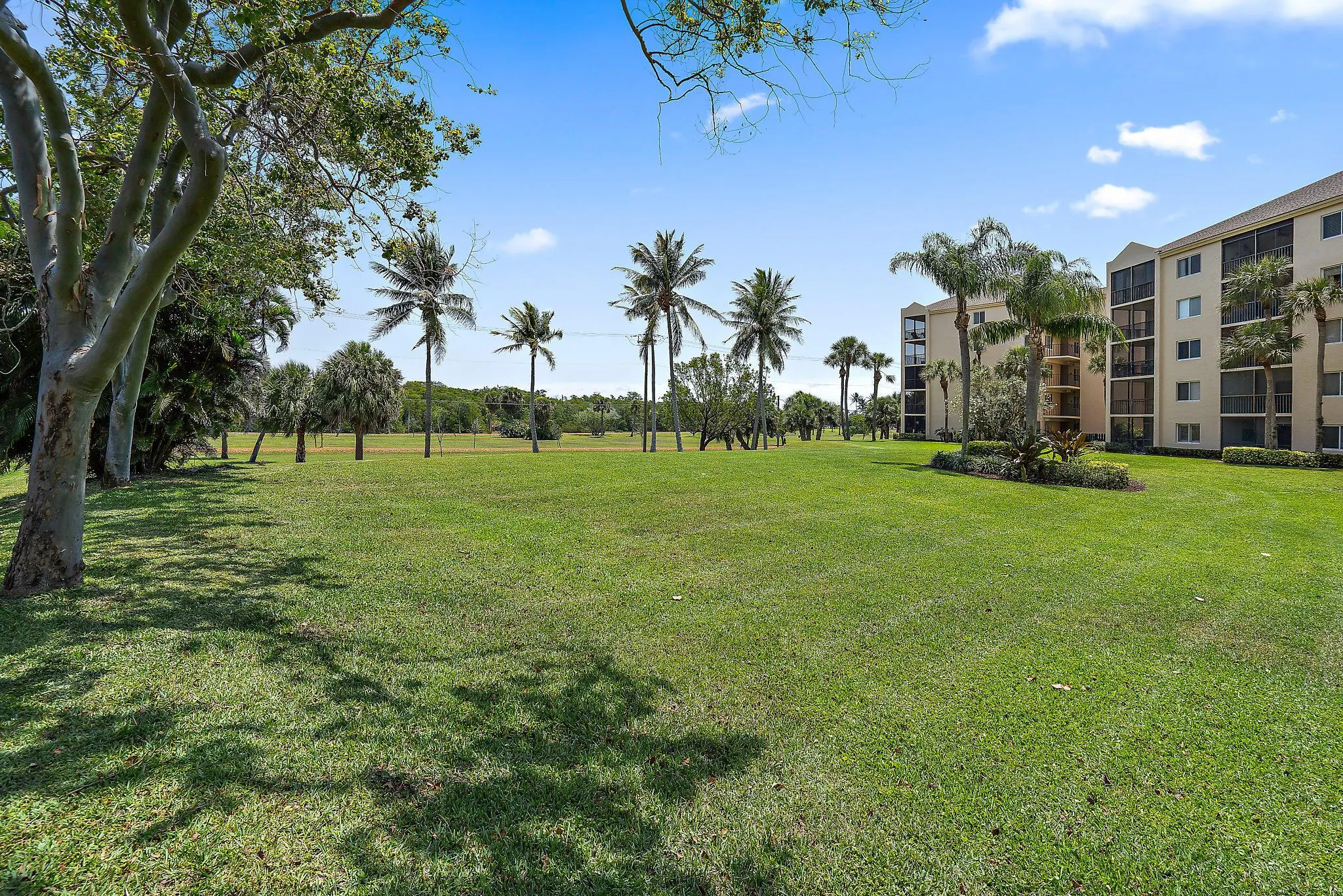 275 Palm Avenue, #C203