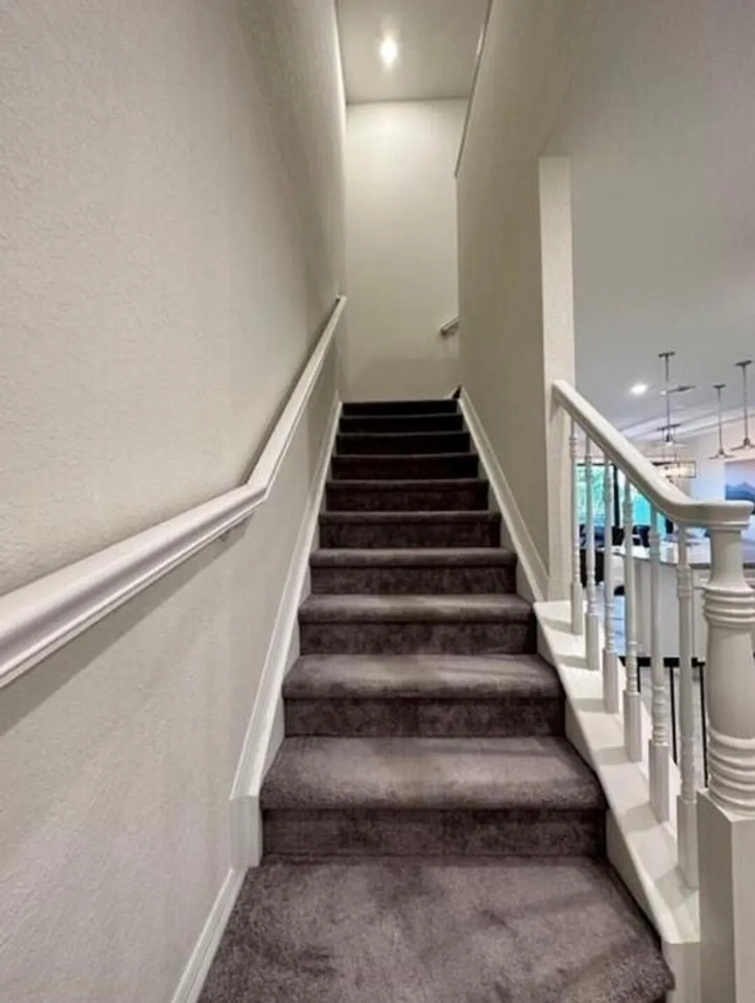 4460 San Fratello Circle