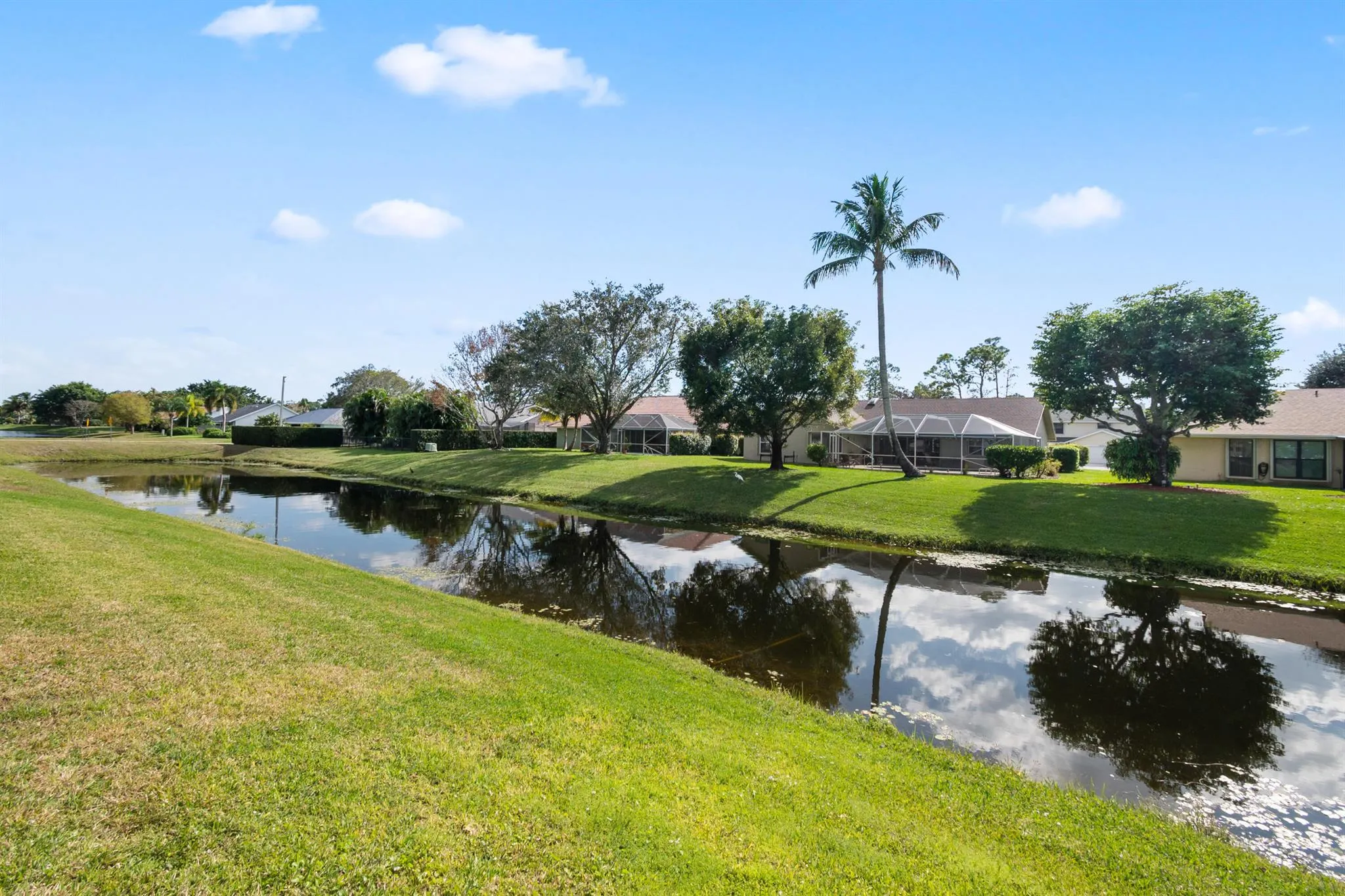 14346 Blackberry Drive