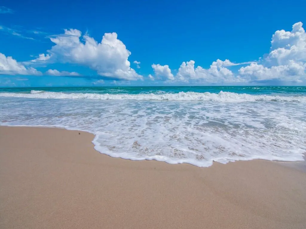 5400 Highway A1a, #D8