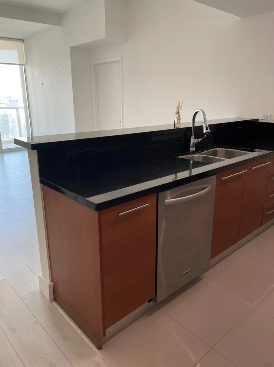 244 Biscayne Boulevard, #2710