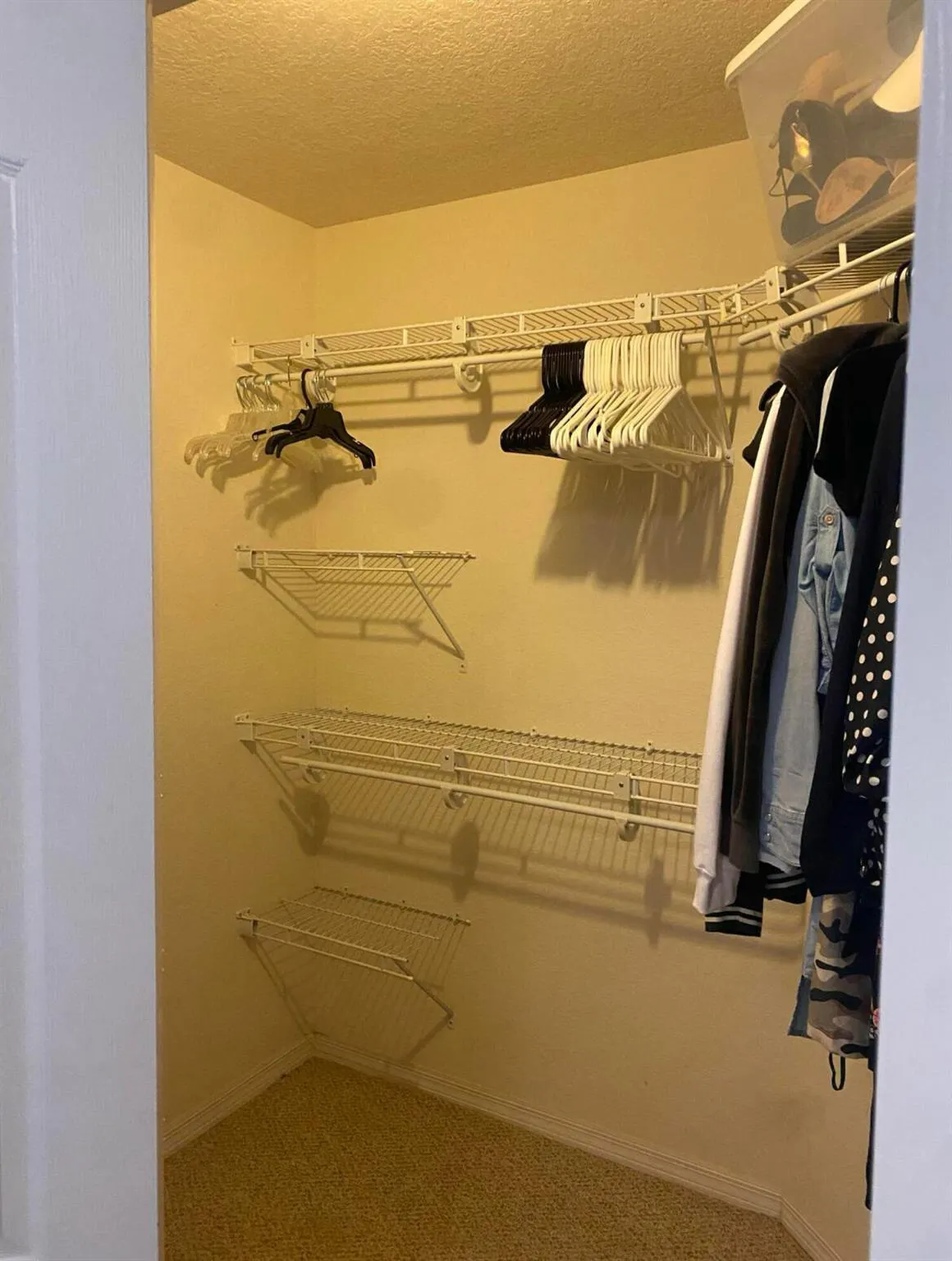 11014 Legacy Drive, #303