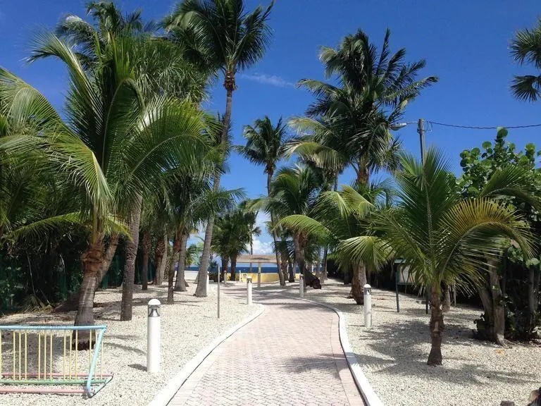 1395 S Ocean Boulevard, #3d