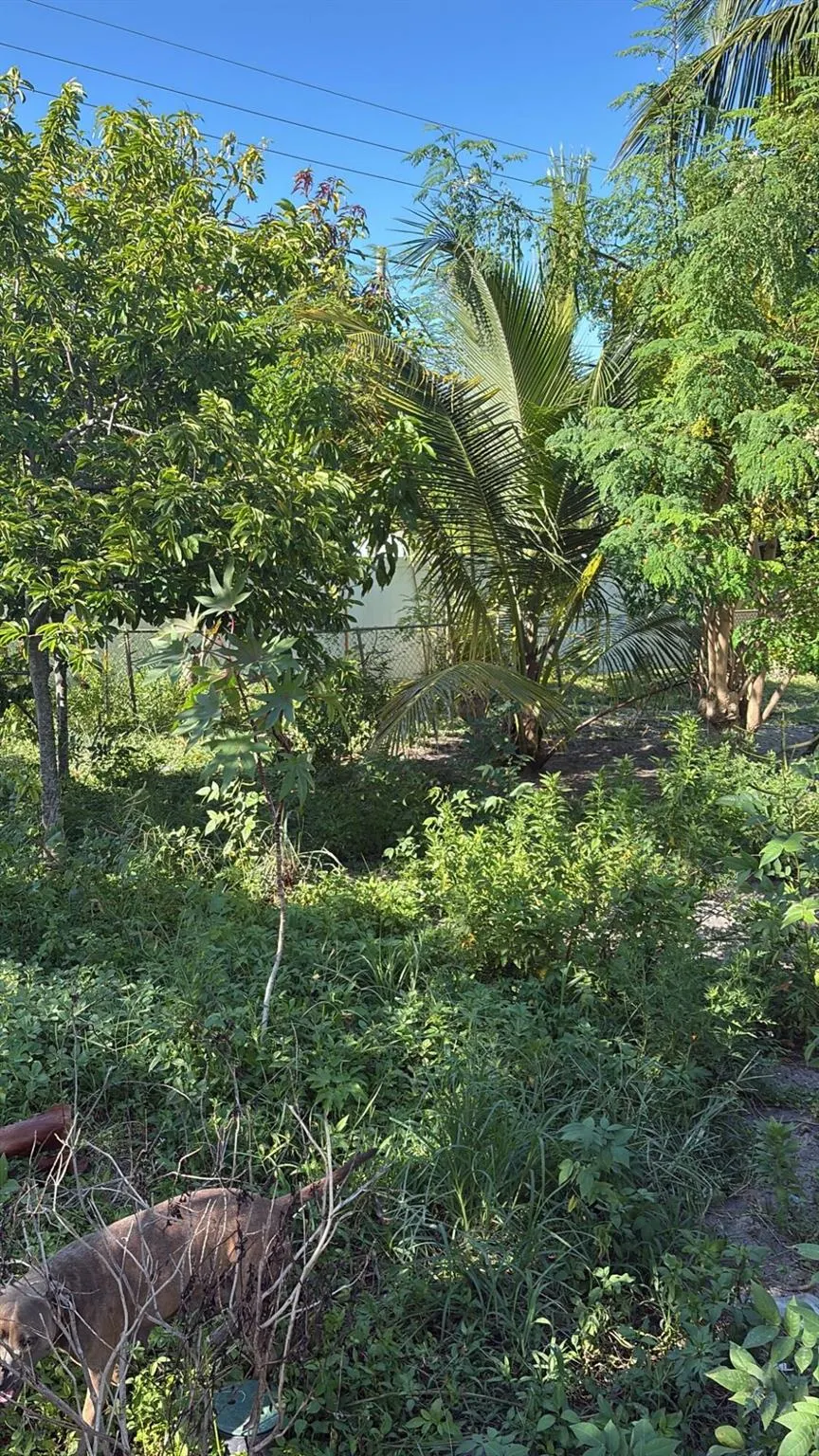 215 Evergreen Drive