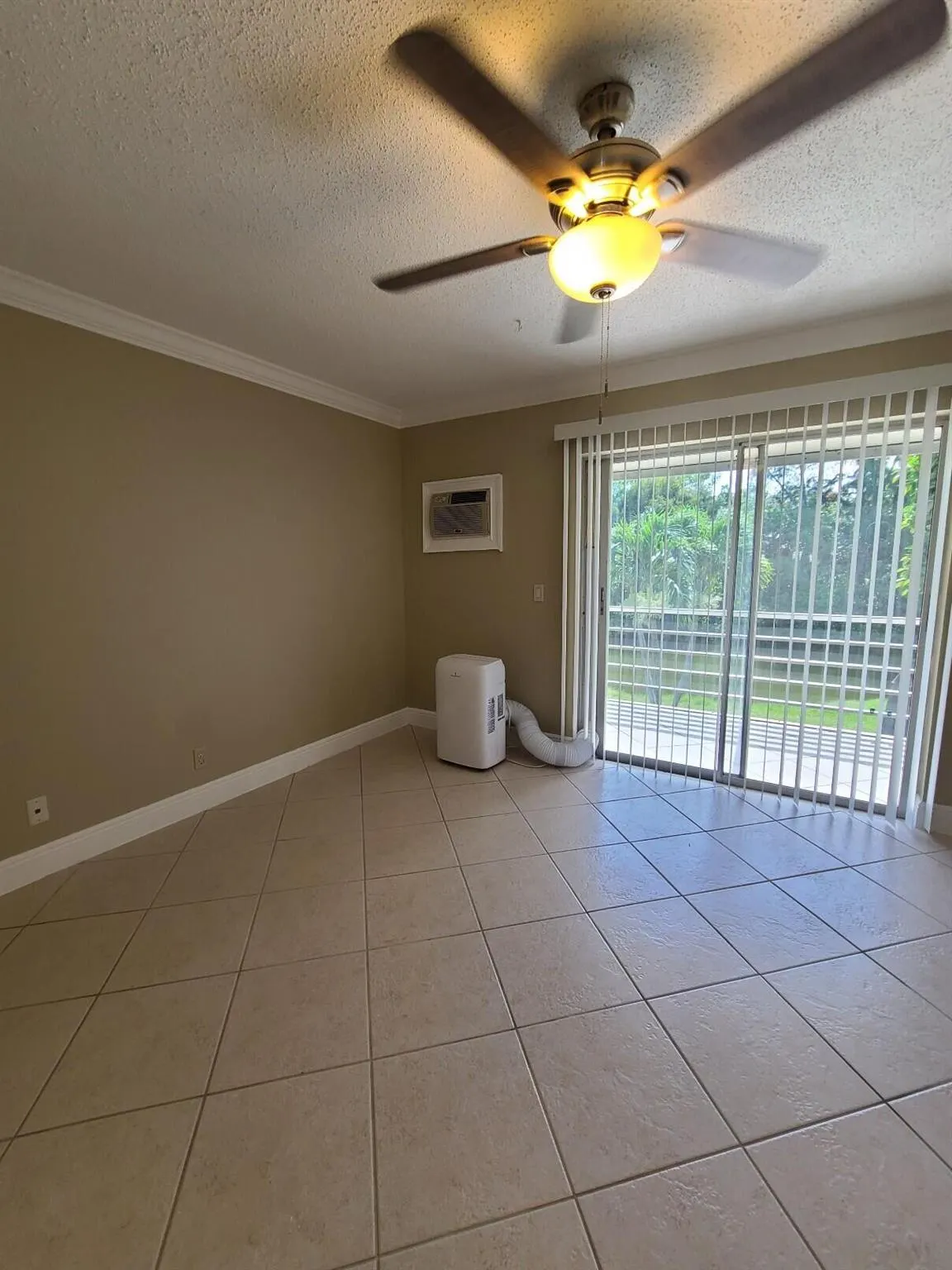 37 Windsor B