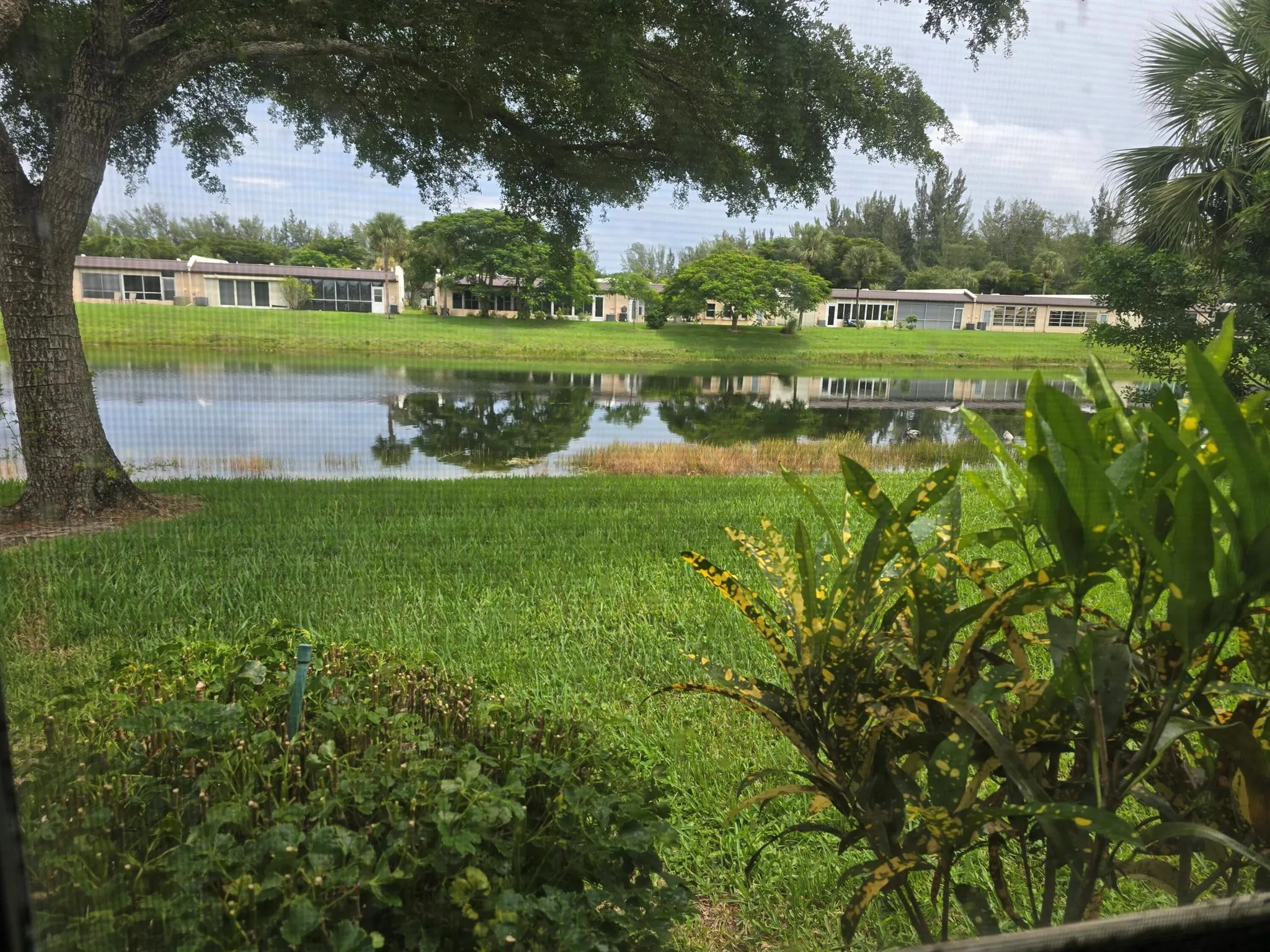 116 Golden Lakes Boulevard