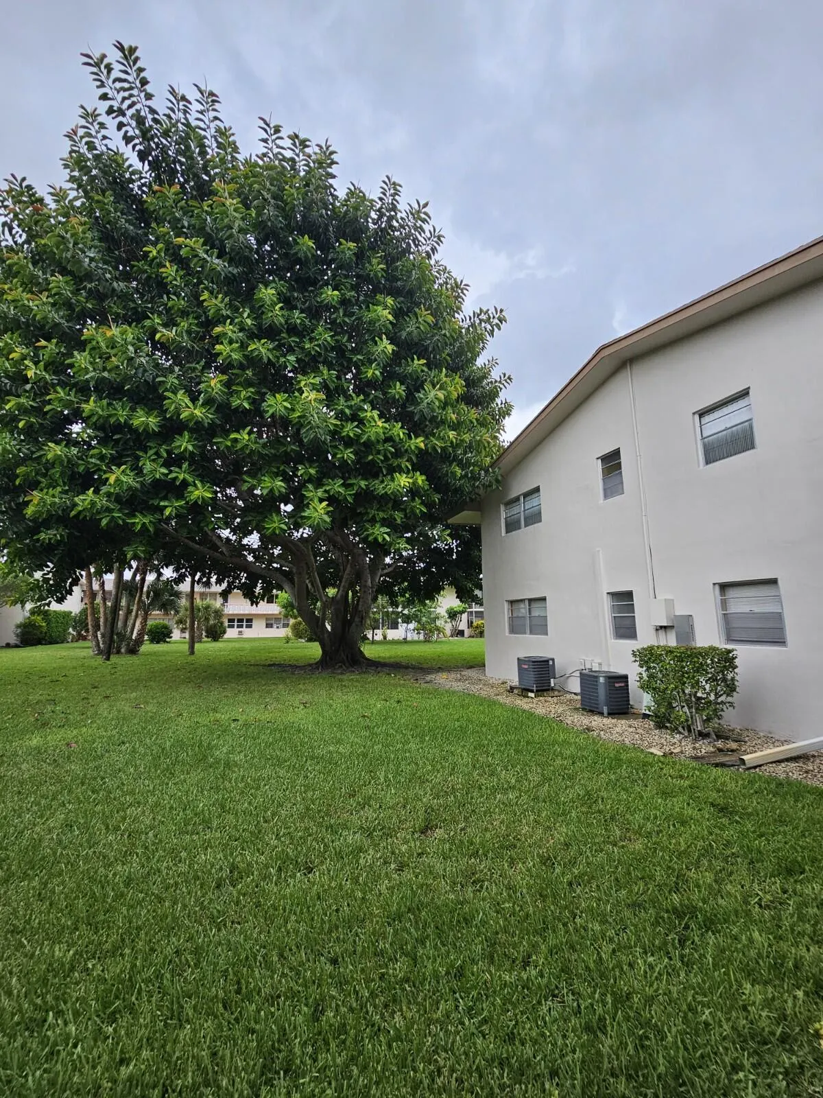 268 Norwich L