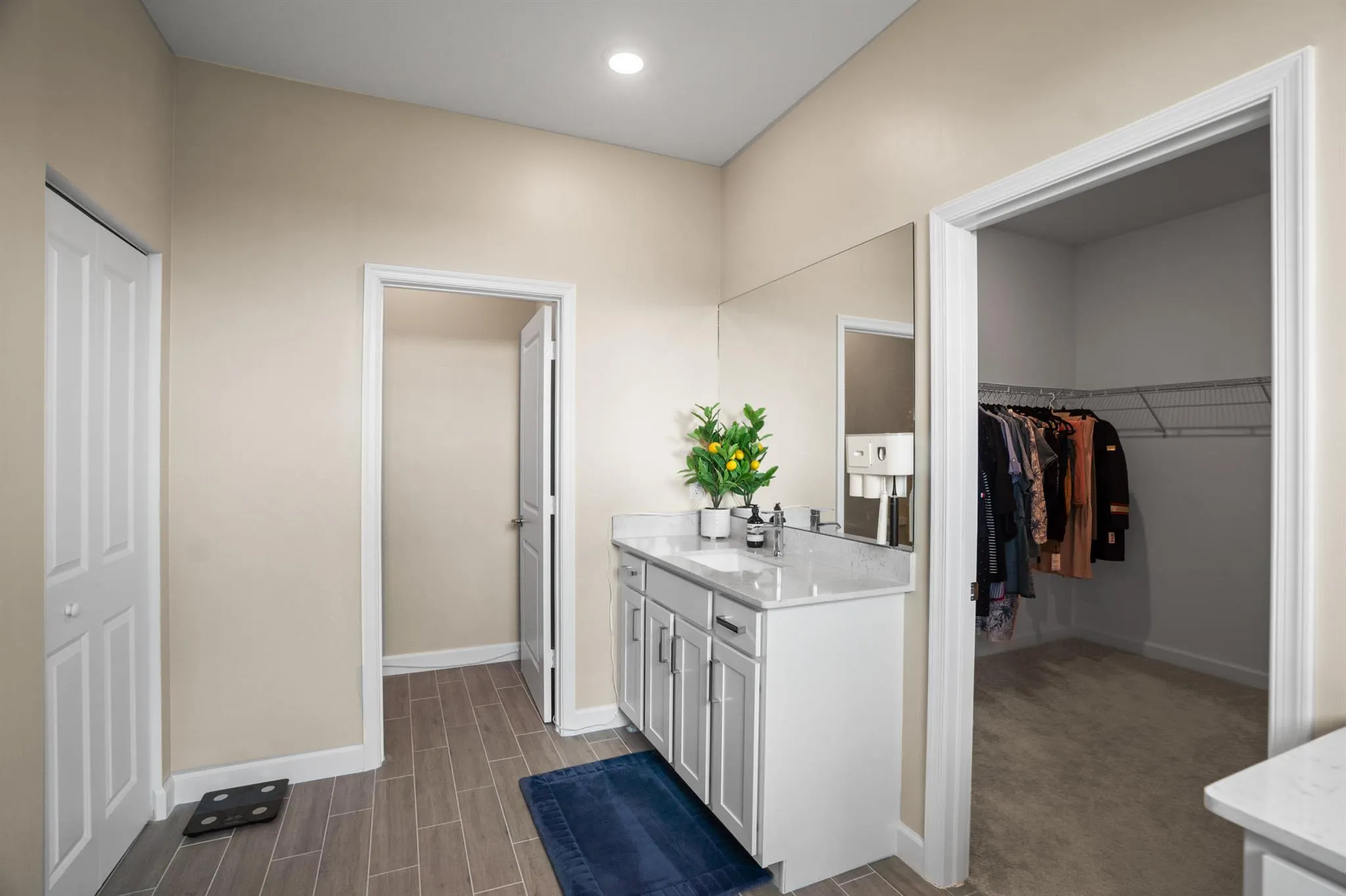 1120 Haywagon Trail