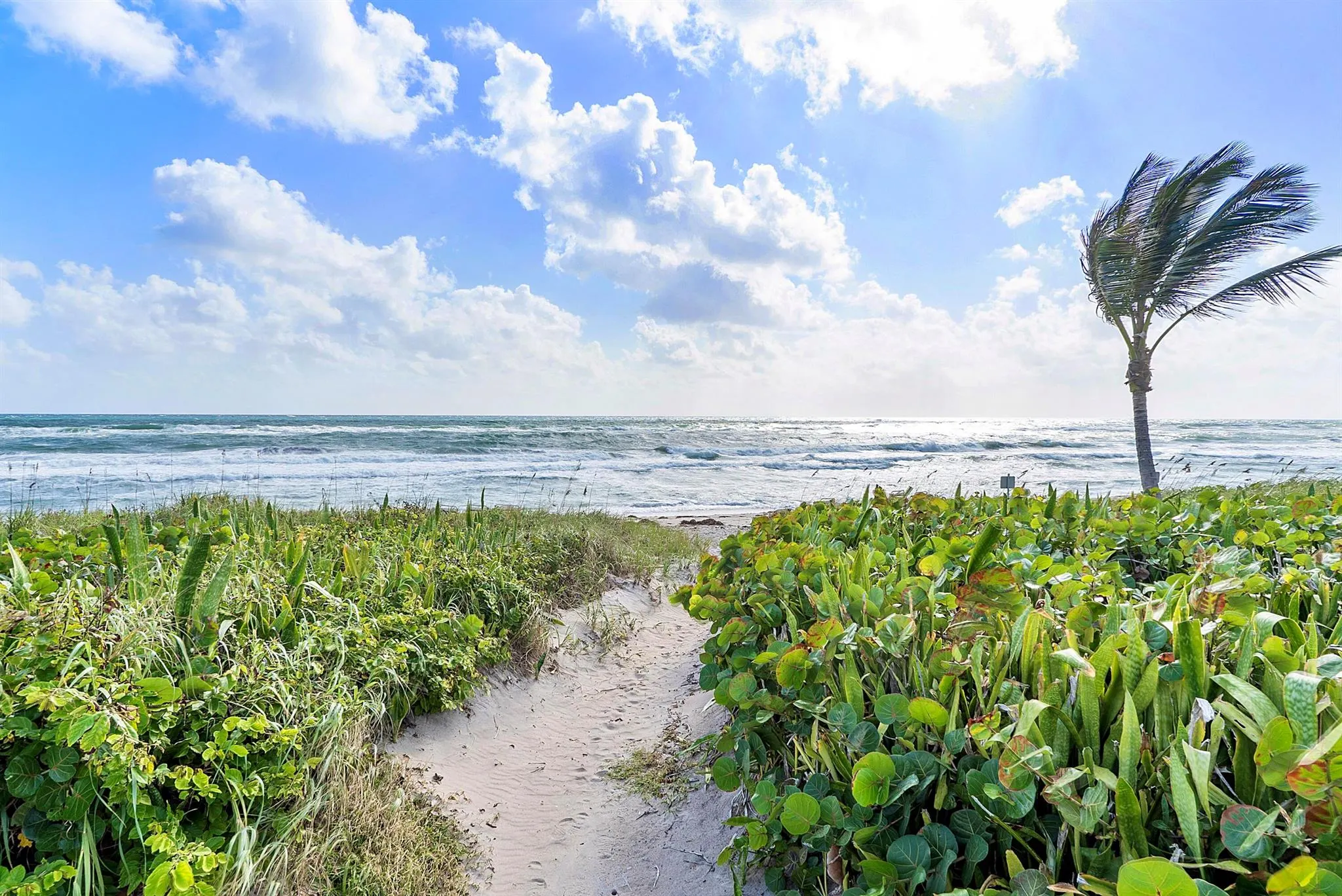 3212 S Ocean Boulevard, #708-A