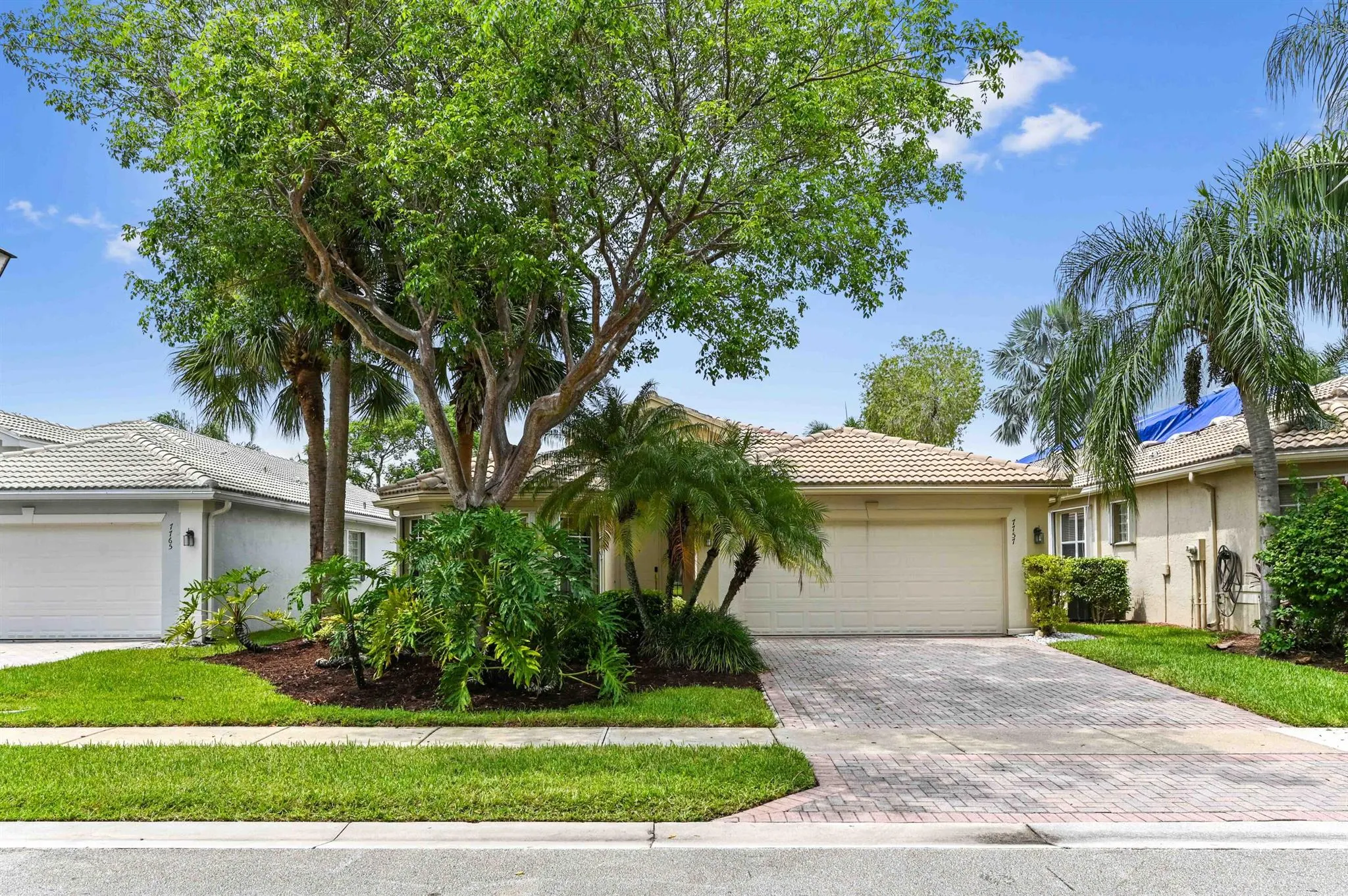 7757 Coral Colony Way