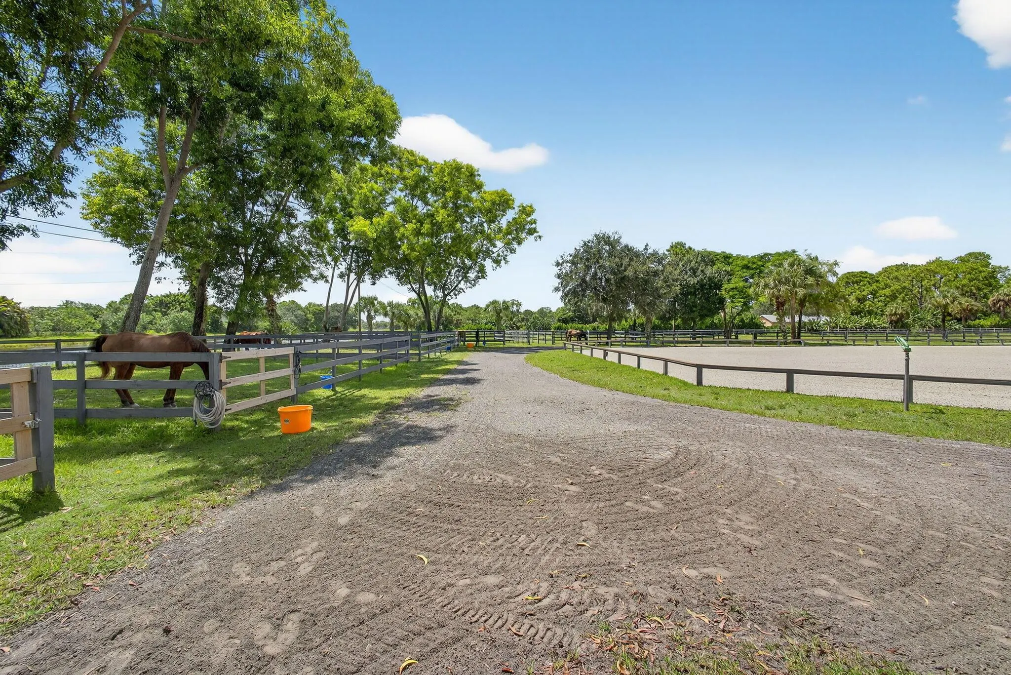 17218 Shetland Lane, #2 Stalls