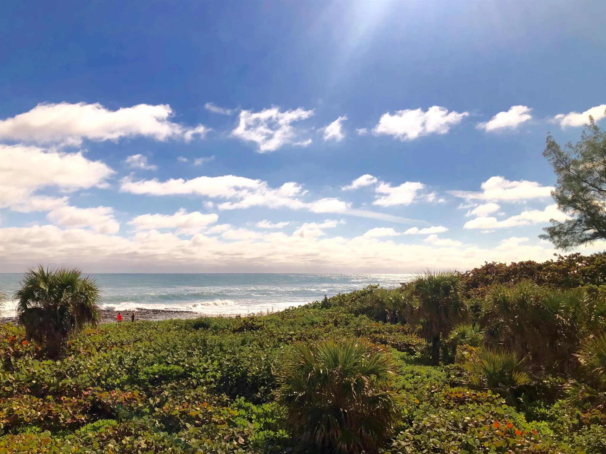 4000 N Ocean Drive, #902