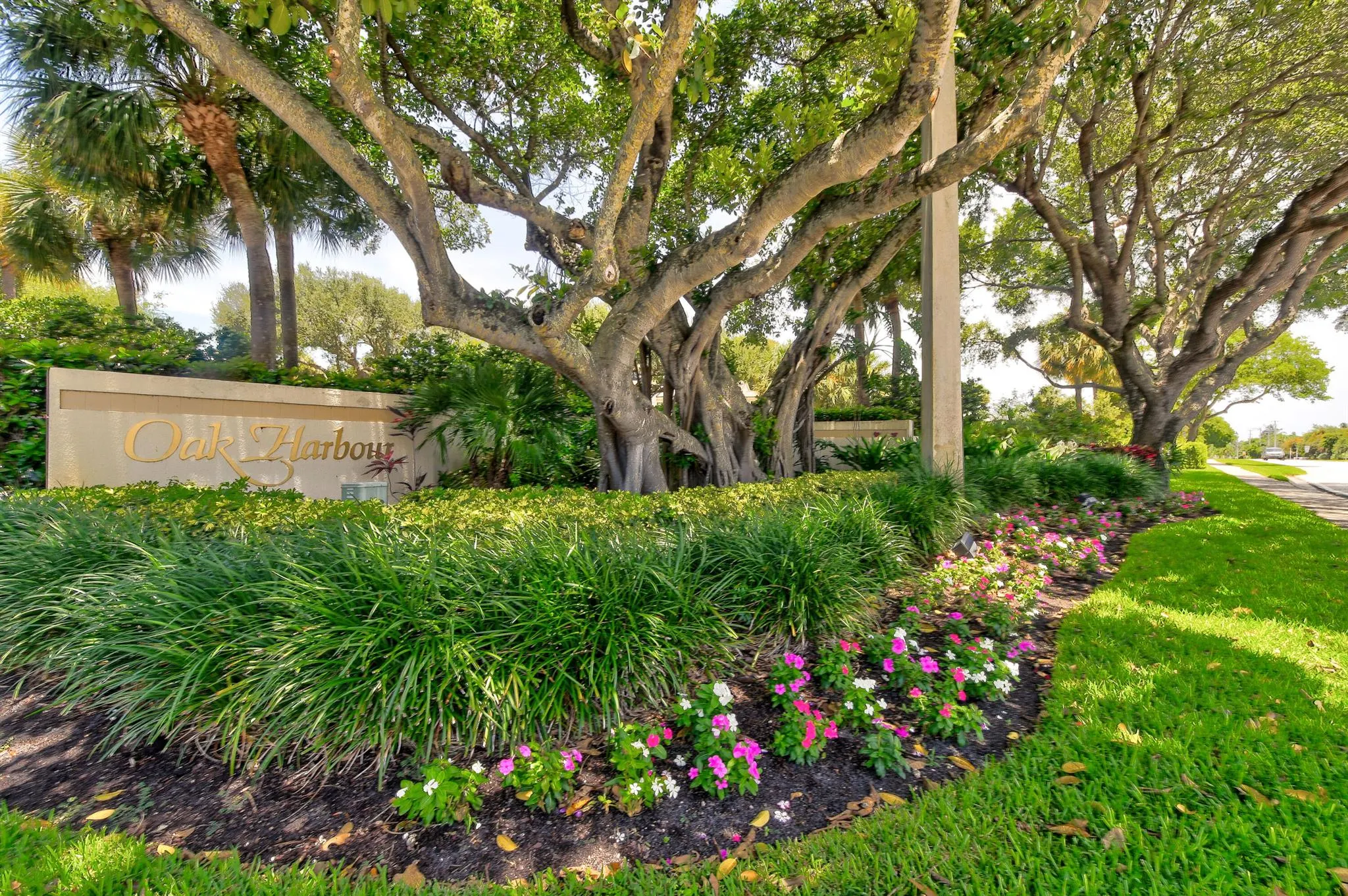 311 Oak Harbour Drive
