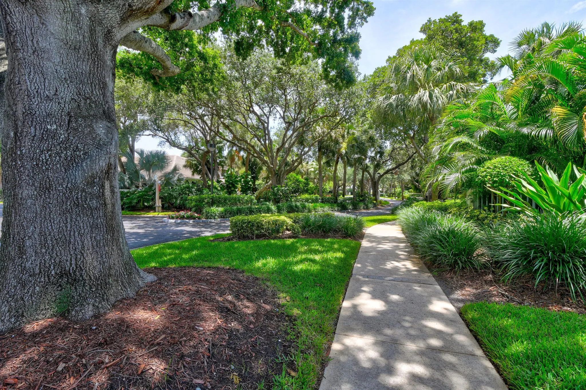311 Oak Harbour Drive