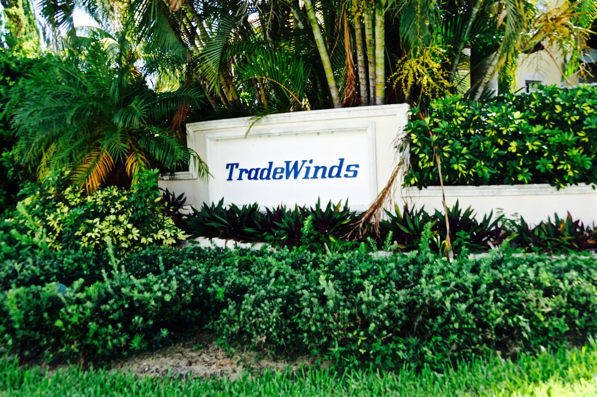 3118 Pierson Drive