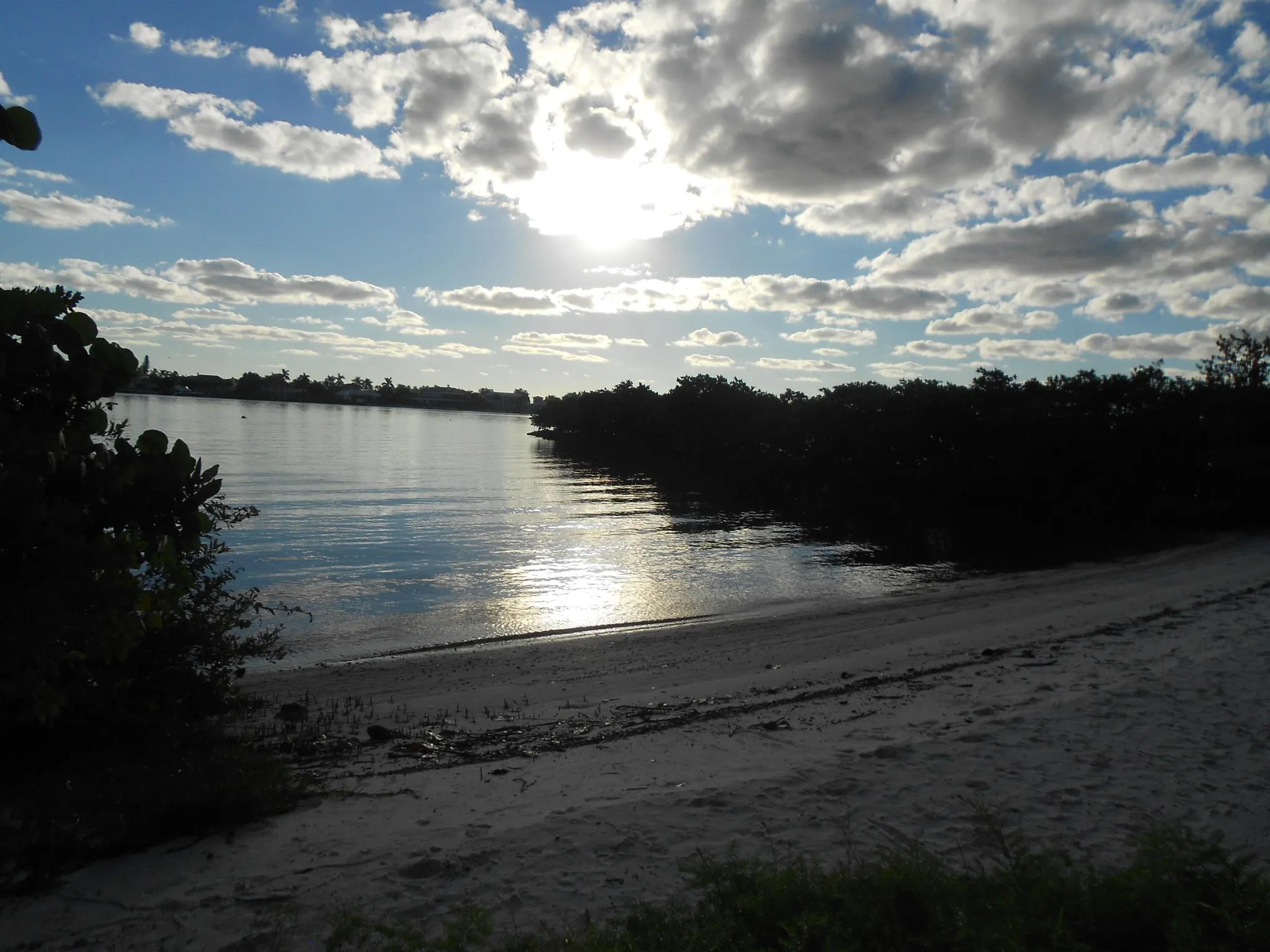 300 Scotia Drive, #203