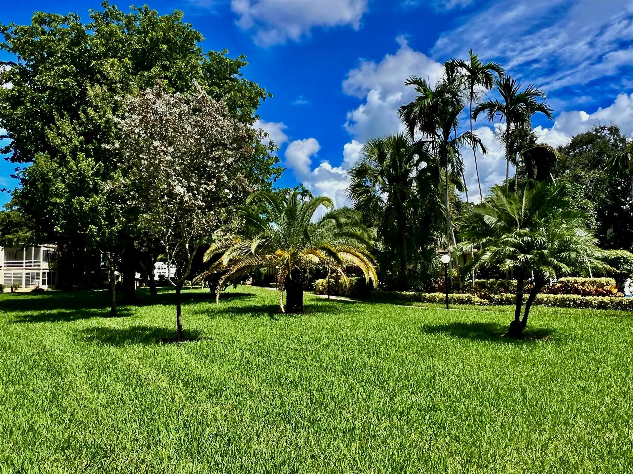 5141 W Oakland Park Boulevard, #201