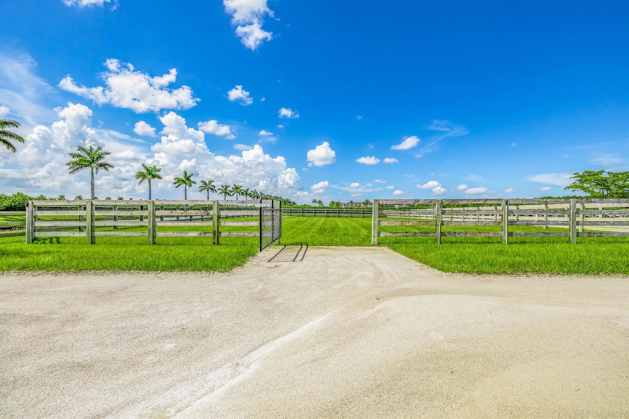5181 Lasso Way, #Stalls