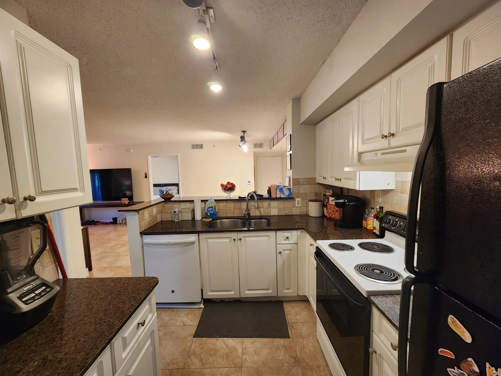 7848 Sonoma Springs Circle, #101