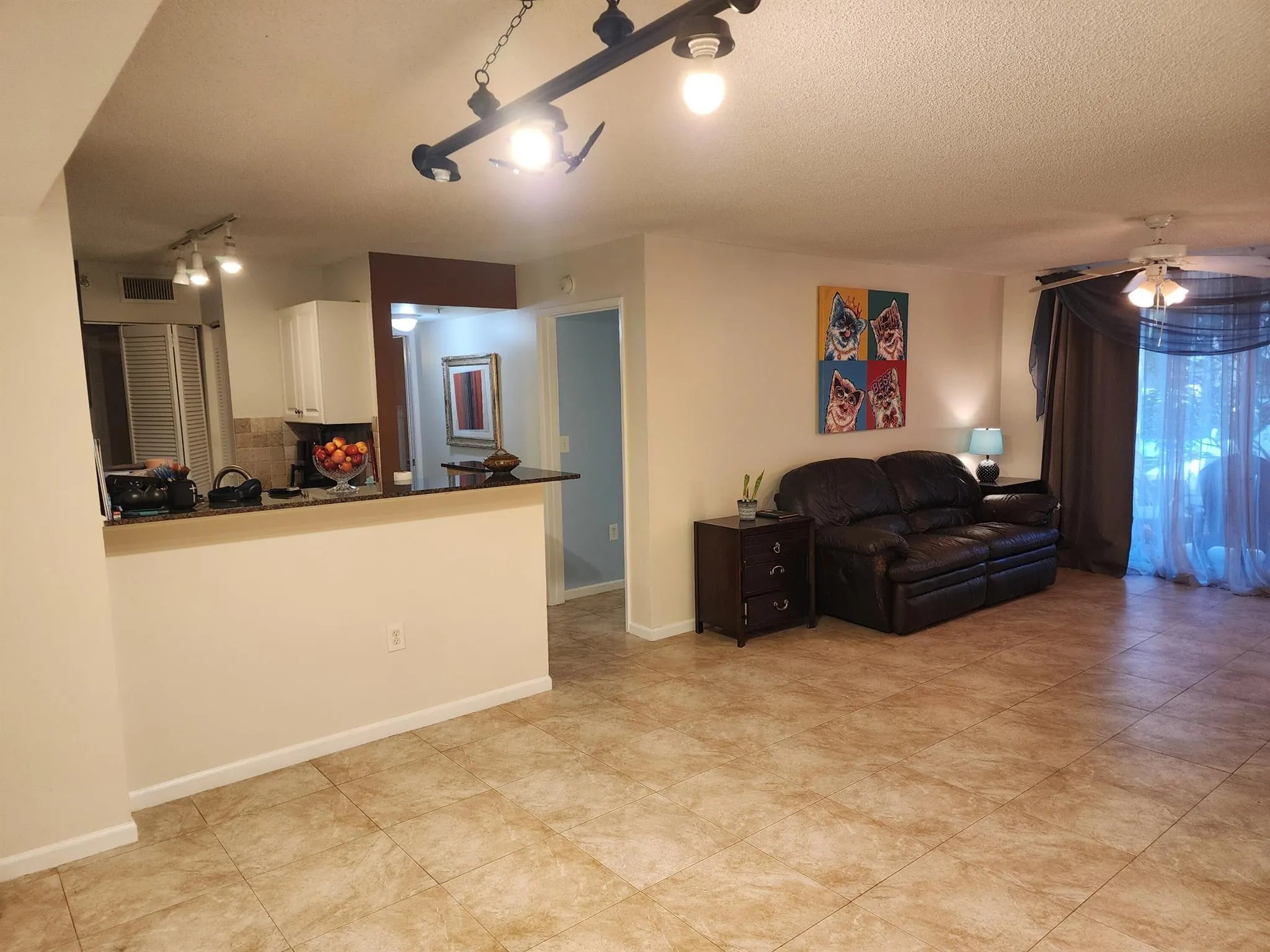7848 Sonoma Springs Circle, #101