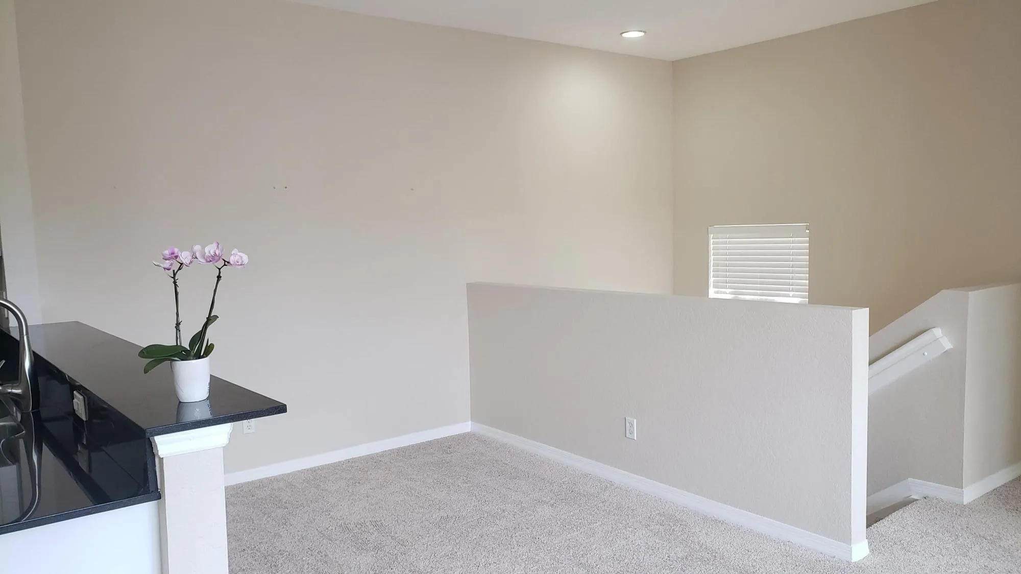 3109 Grandiflora Drive