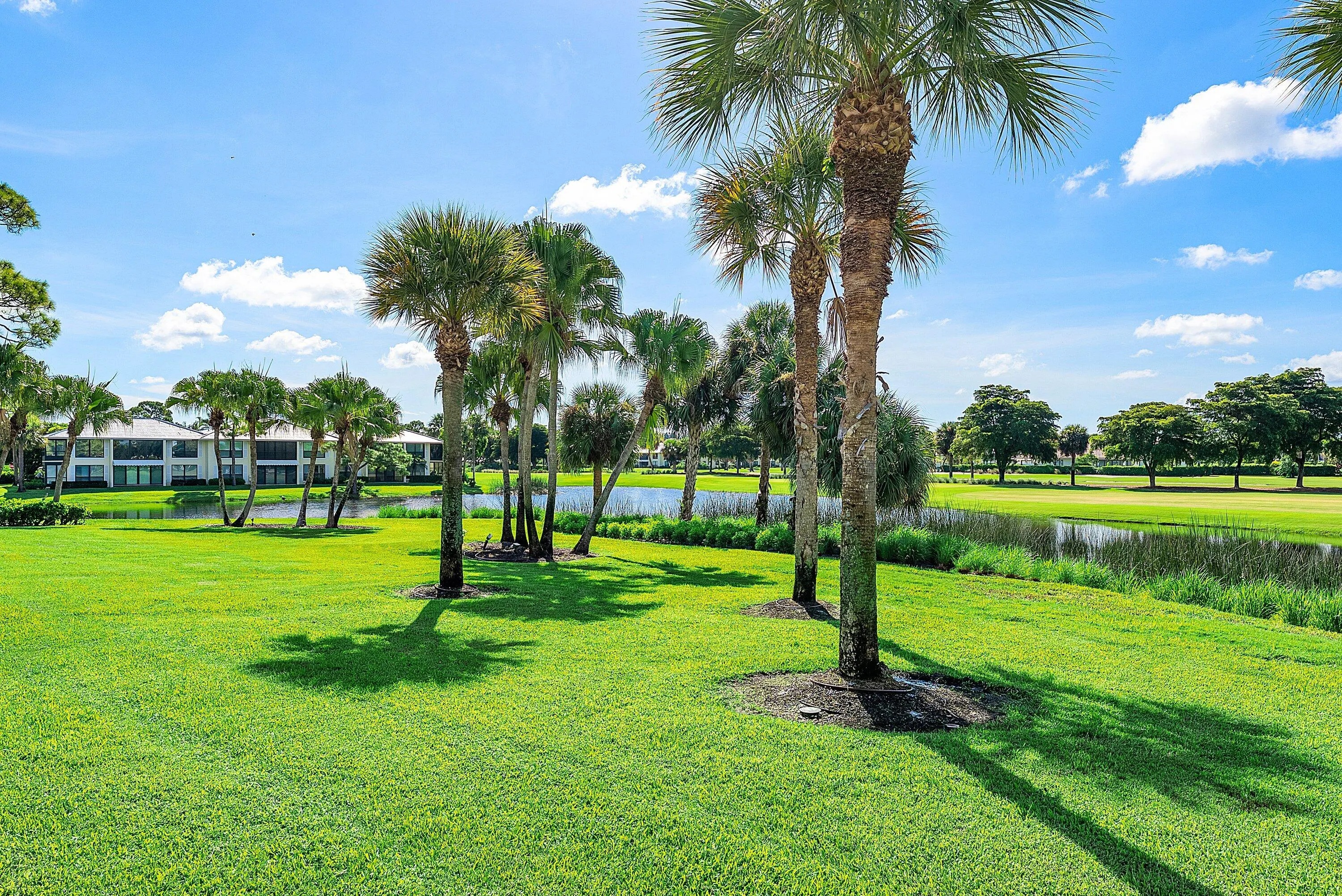 3804 Quail Ridge Drive, #Blue Heron
