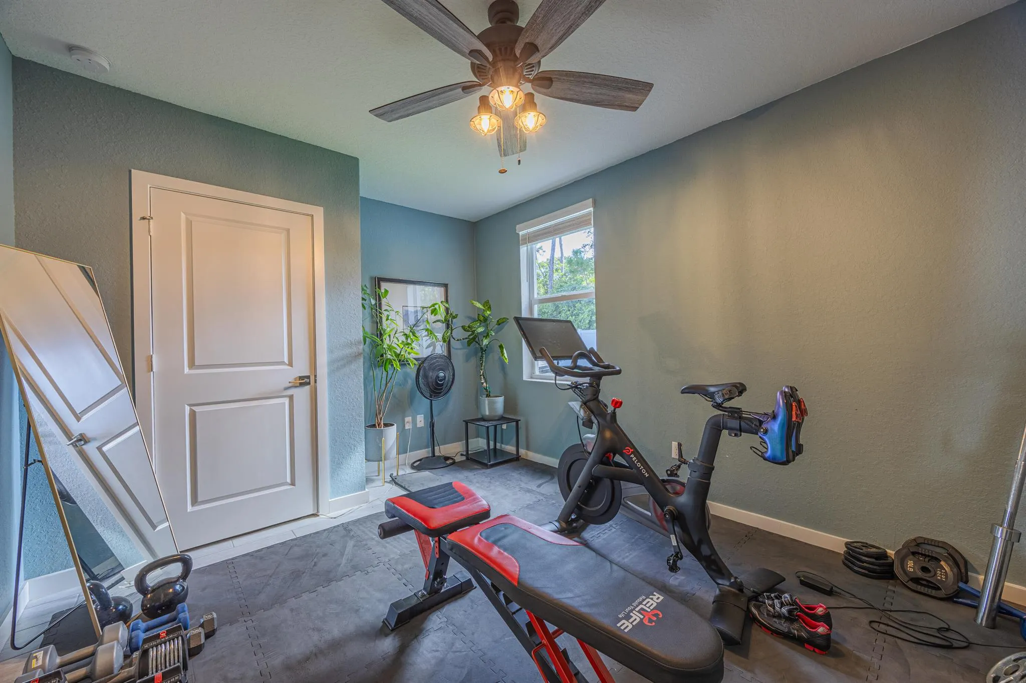 2460 Timber Forest Drive