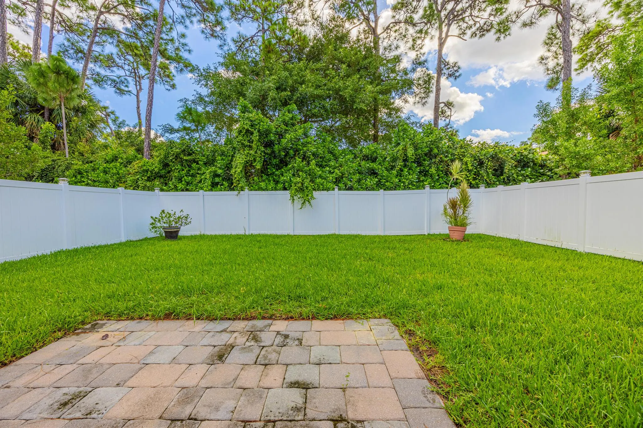 2460 Timber Forest Drive