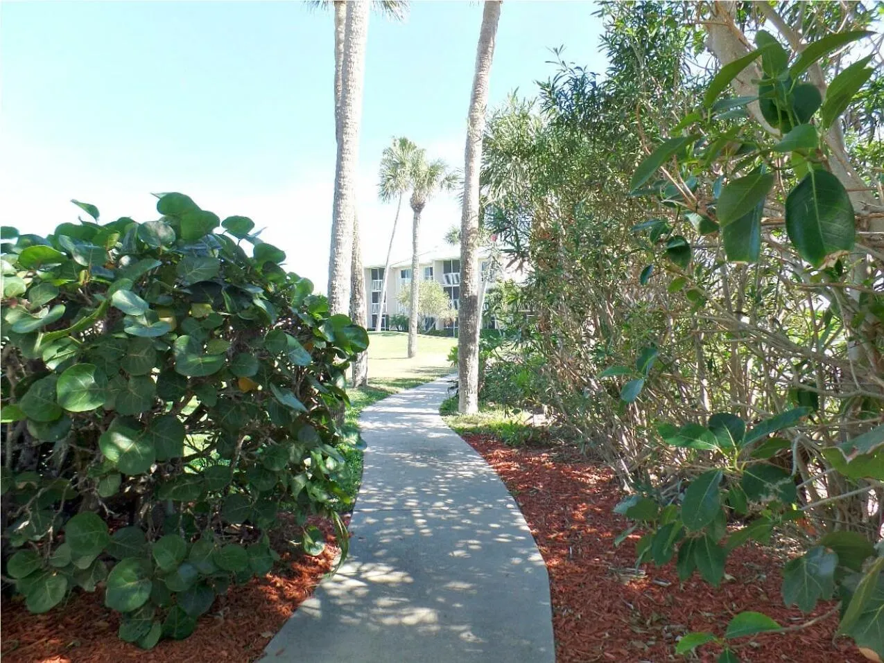 2400 S Ocean Drive, #5623