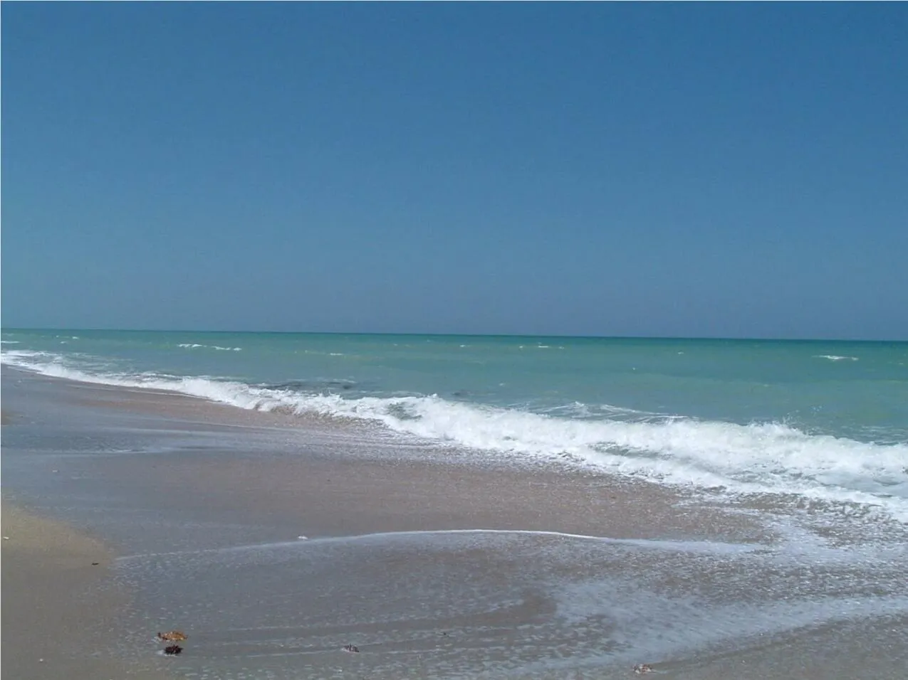 2400 S Ocean Drive, #7333