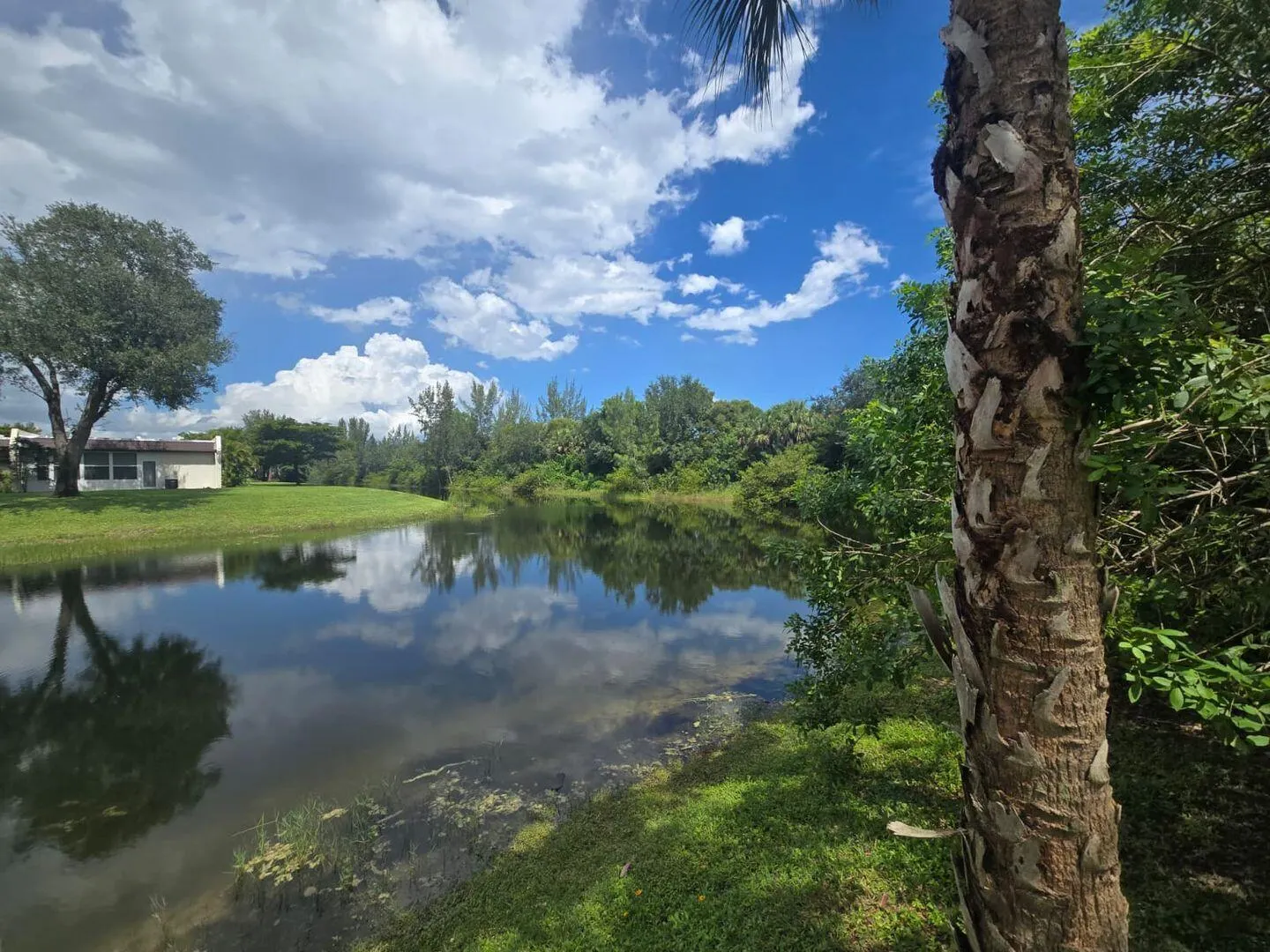 1161 Golden Lakes Boulevard, #1315