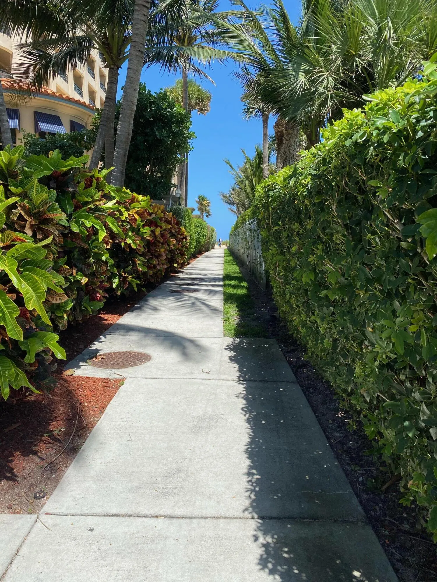 921 Osceola Drive, #8