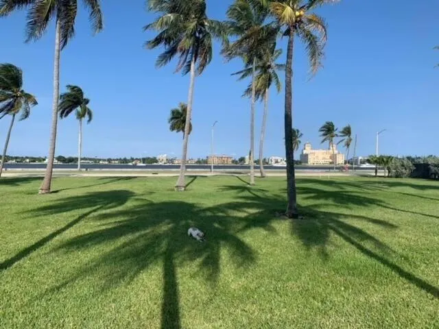 1551 N Flagler Drive, #Uph 10