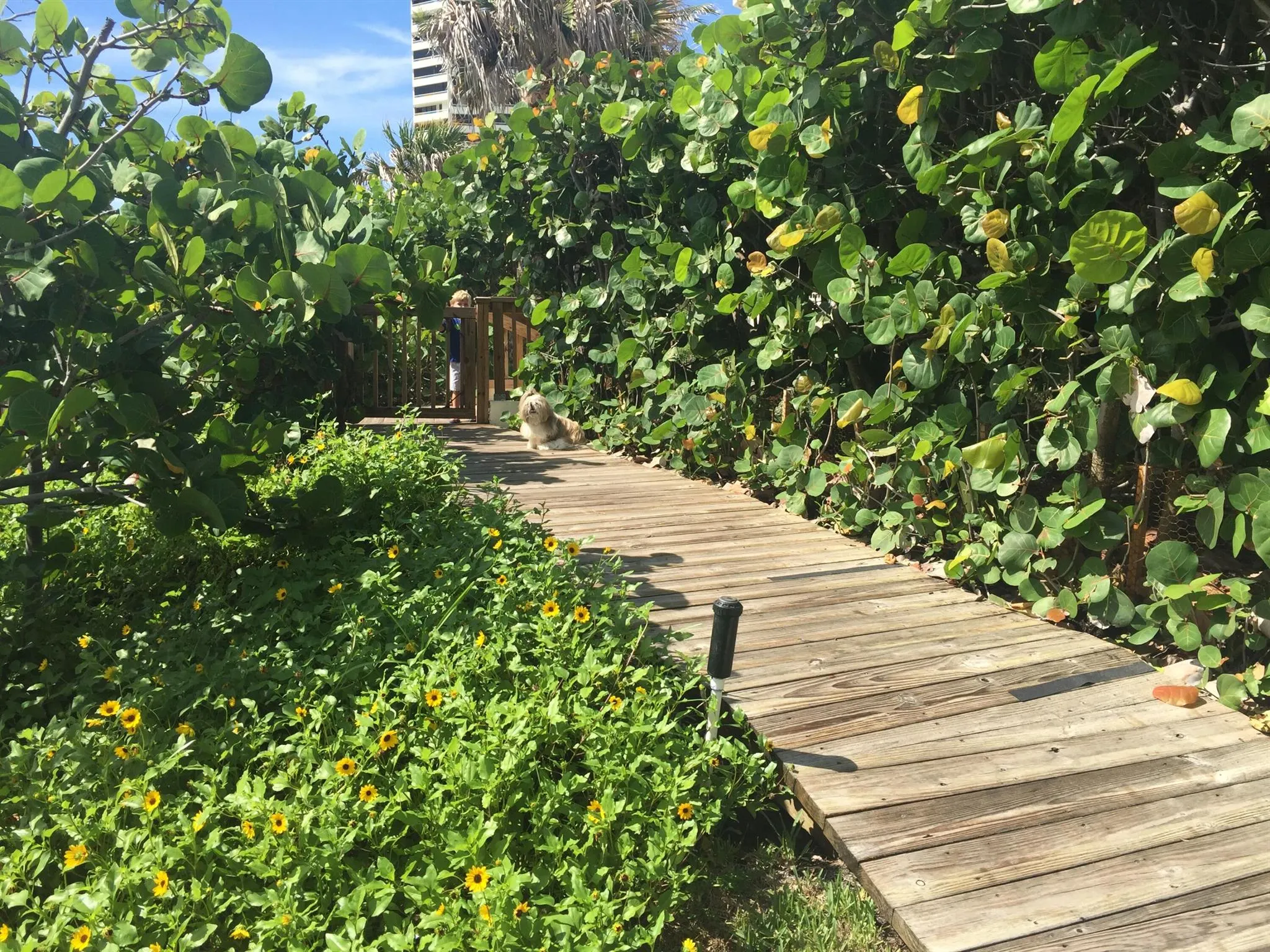 5070 N Ocean Drive, #16d