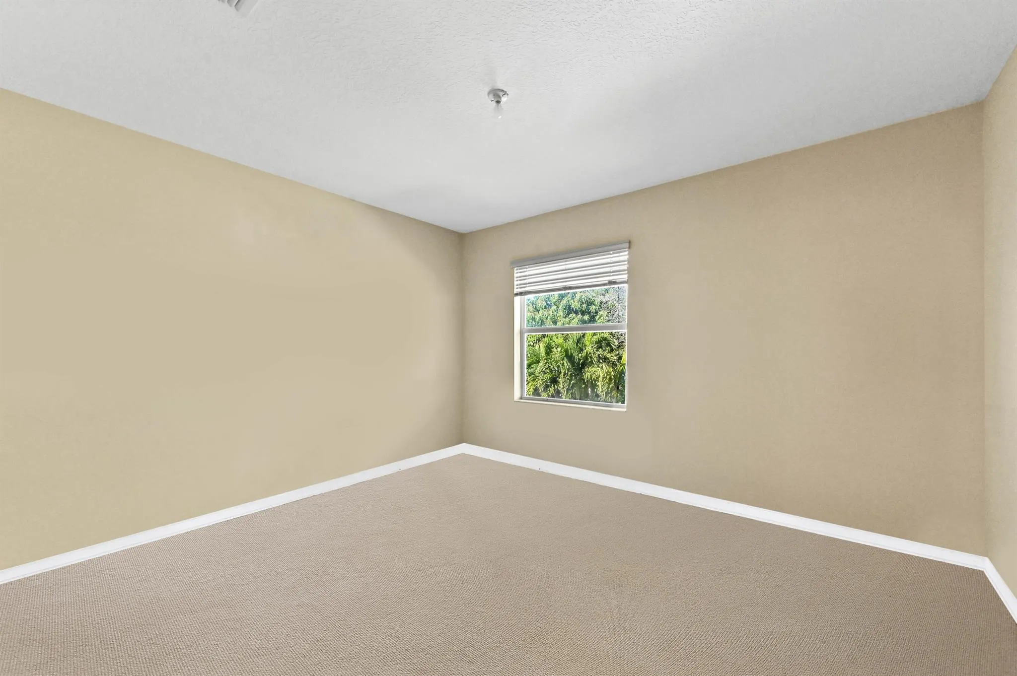 8639 Tally Ho Lane