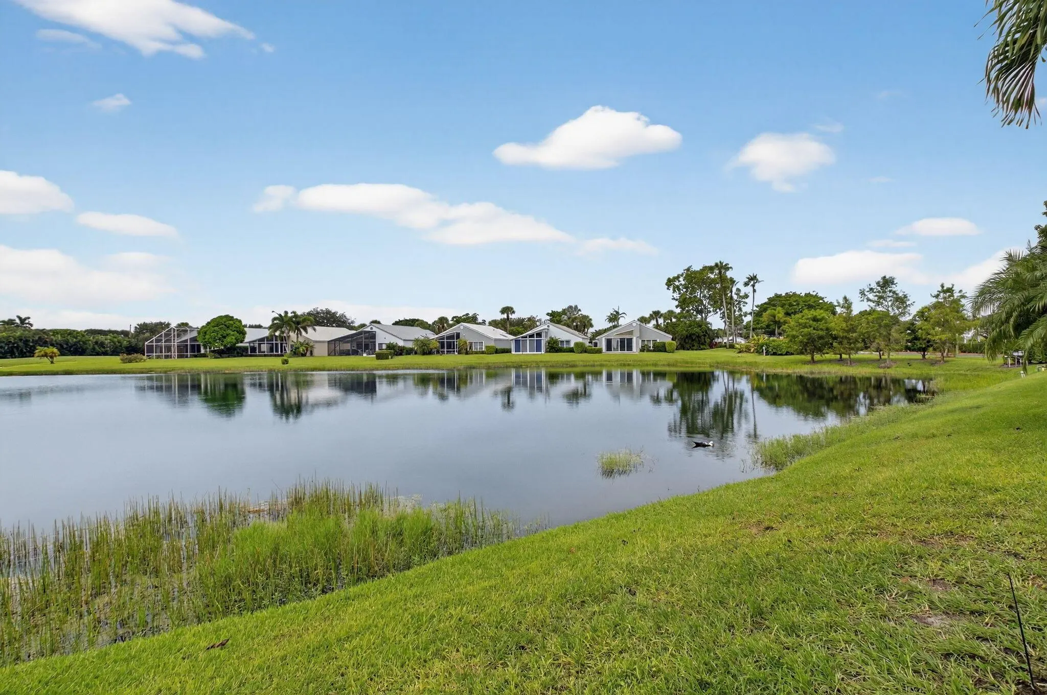 11905 Mont Lake Drive