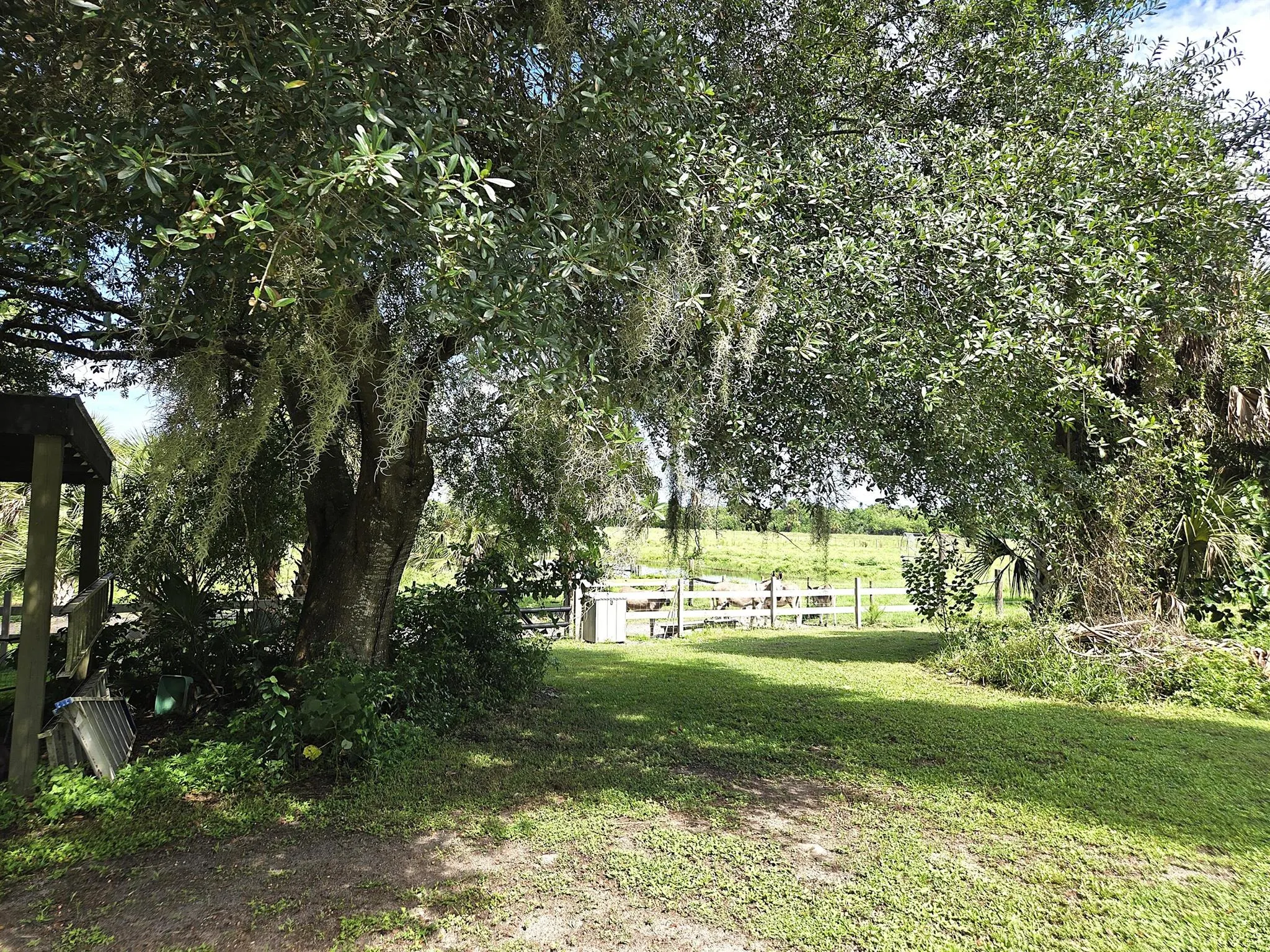 2219 County Road 721 Loop