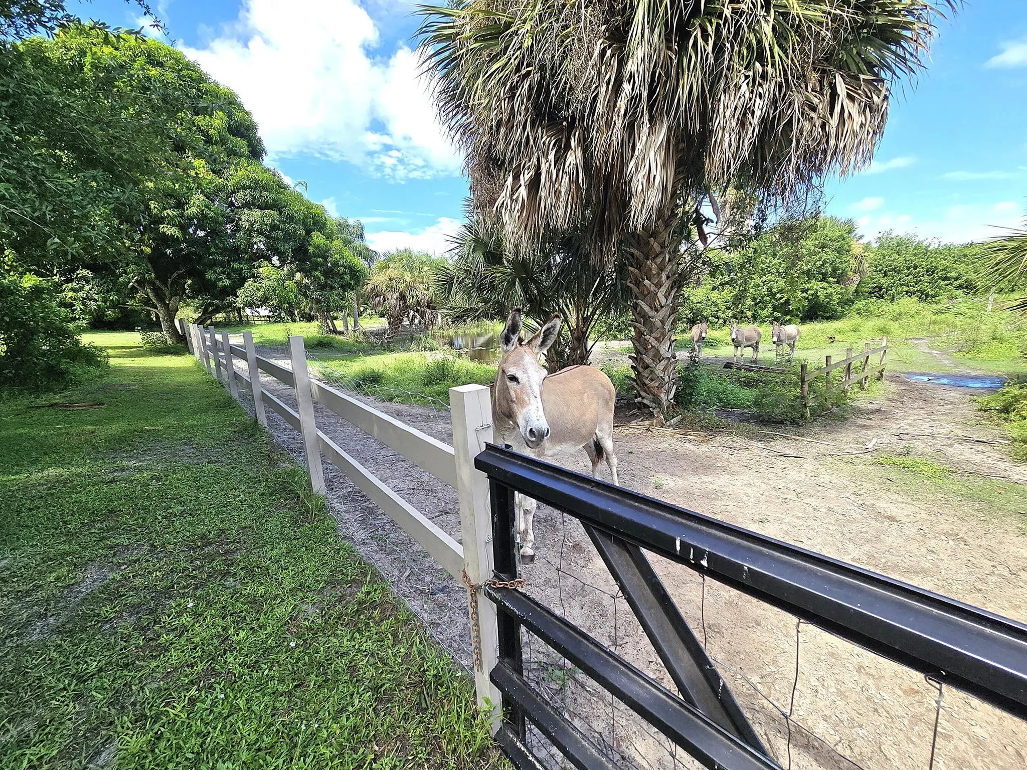2219 County Road 721 Loop