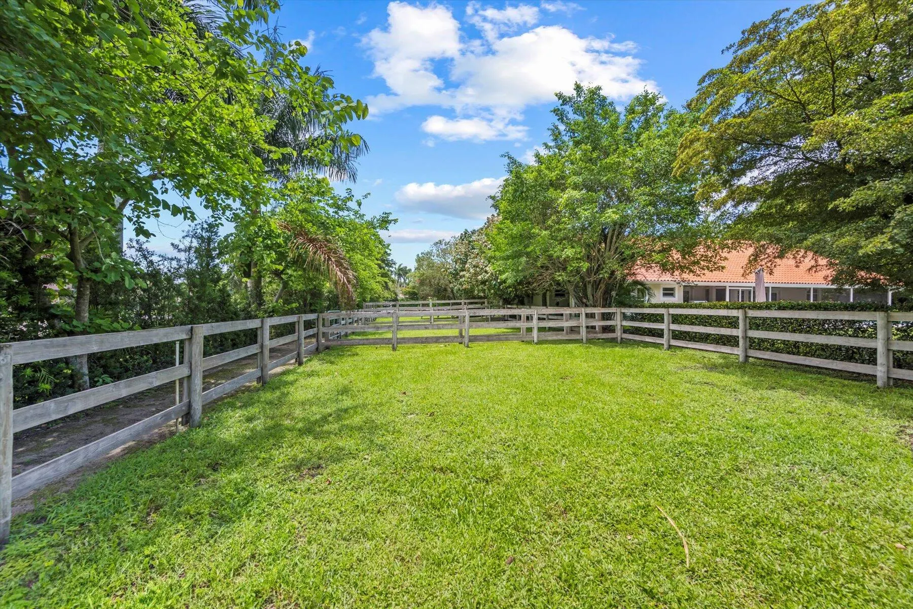 2439 Appaloosa Trail